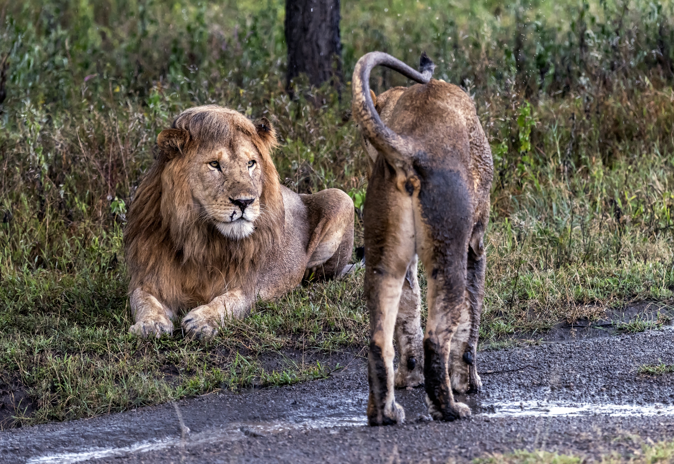 Tanzania 2016 - Con la pioggia