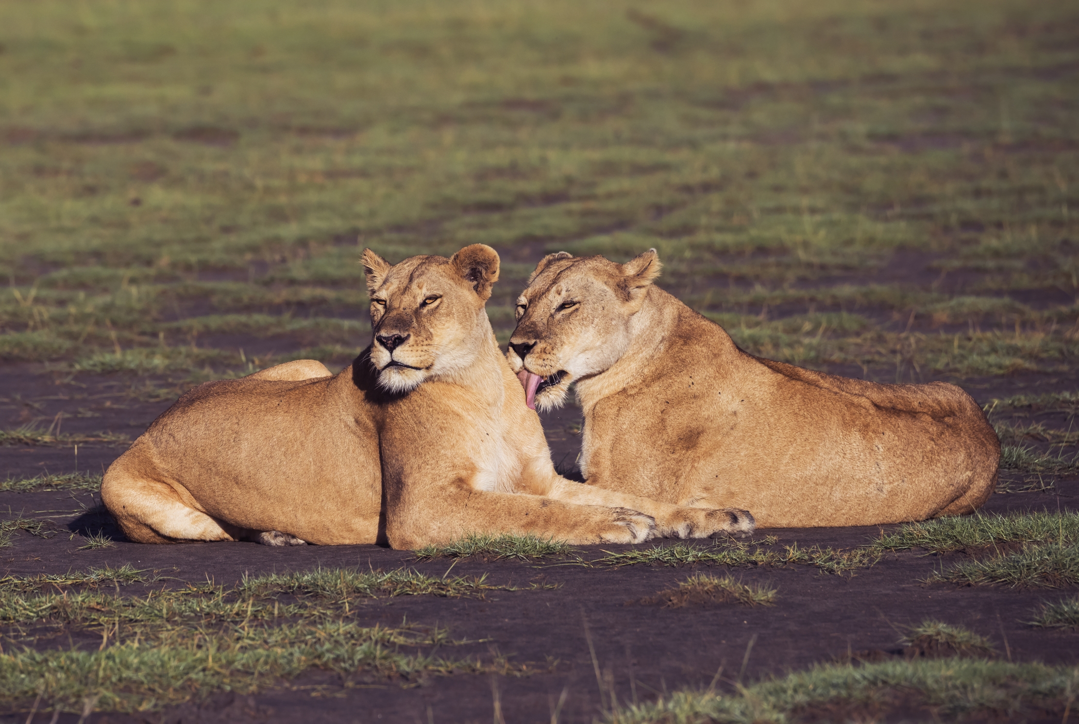 Tanzania 2016 - Sorelle