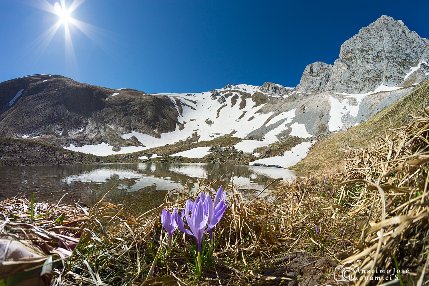 At these heights spring is young