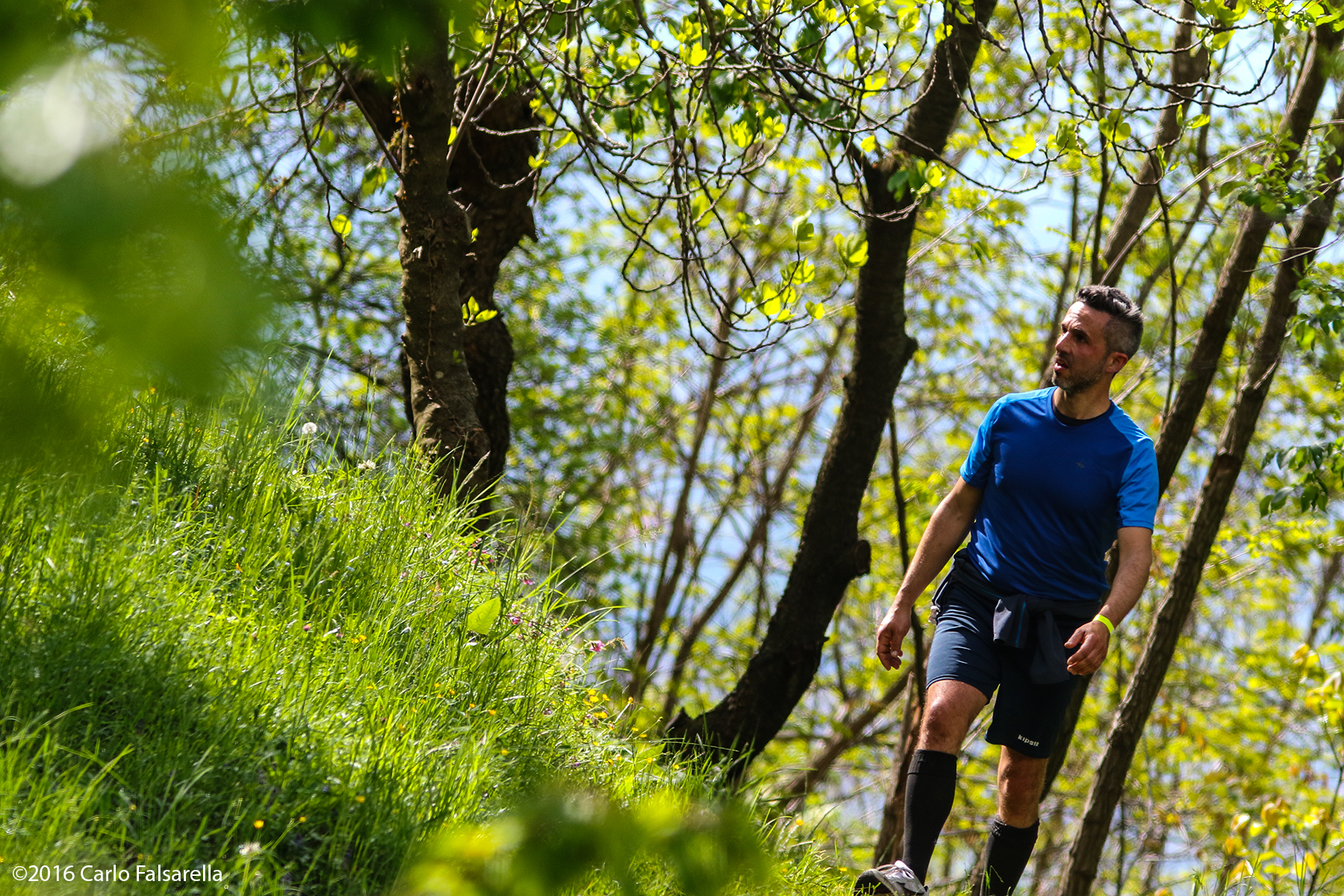 13 March of Torchiato