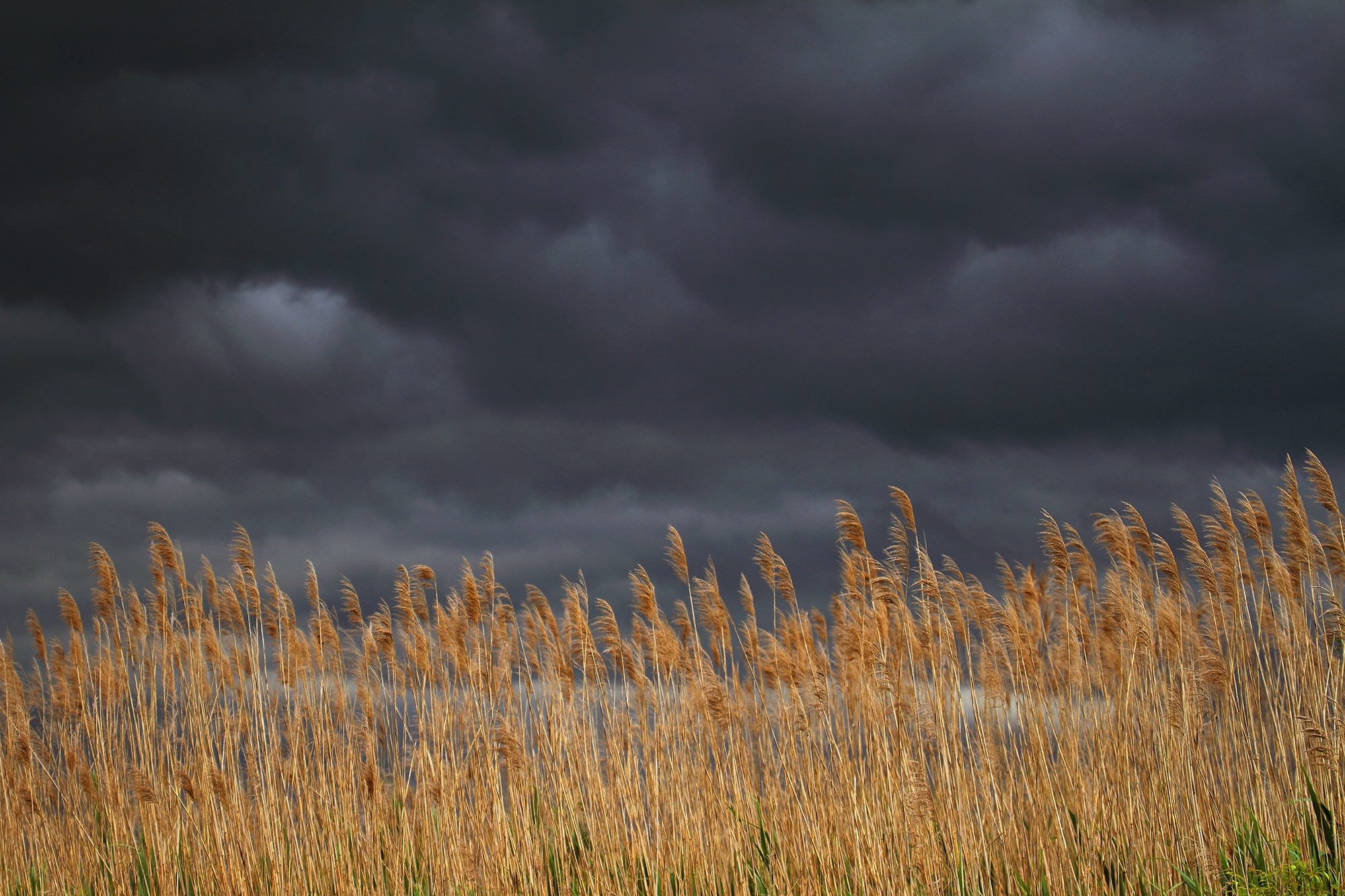 Temporale ai Mortellini