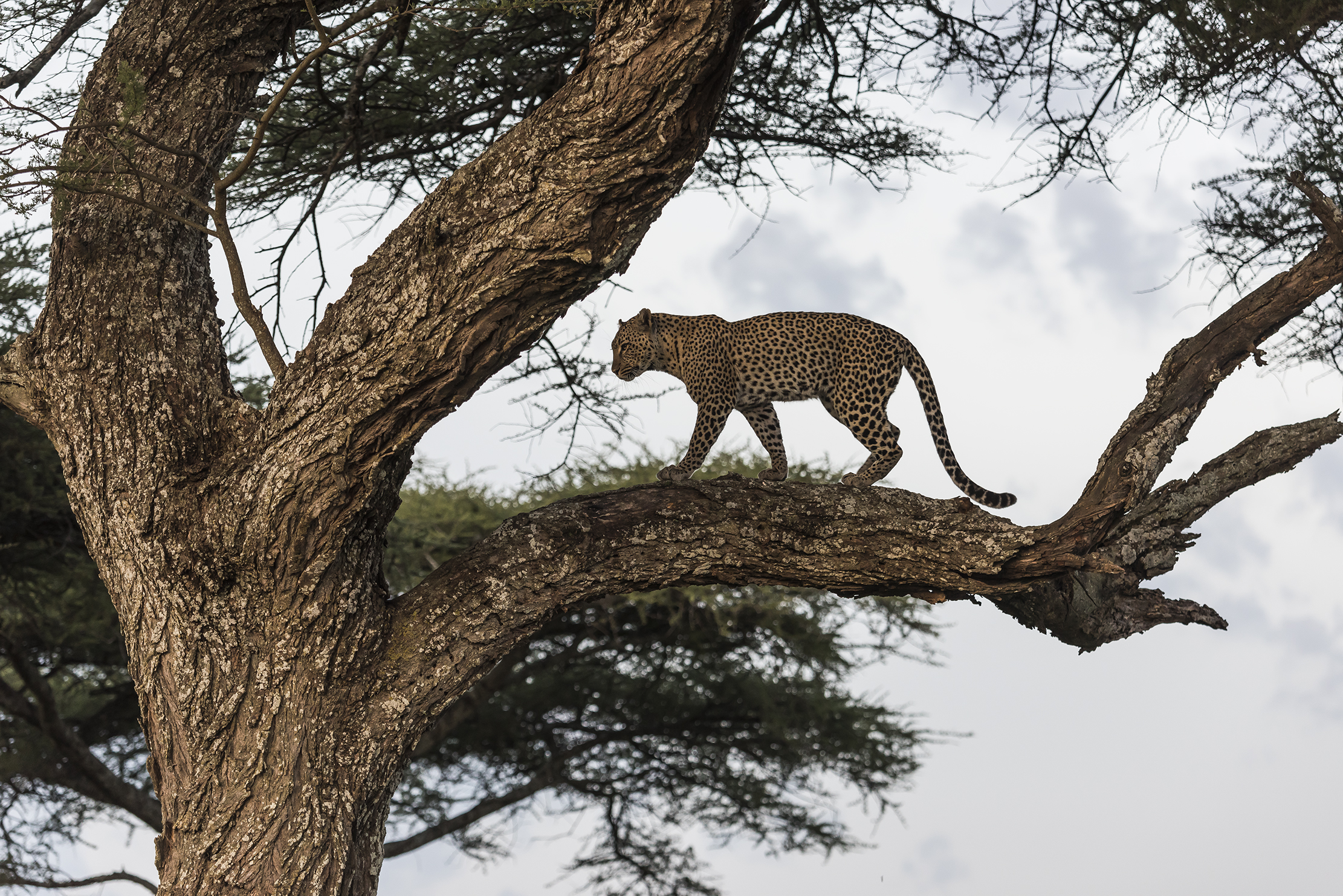 Tanzania 2016 - Sul far della sera