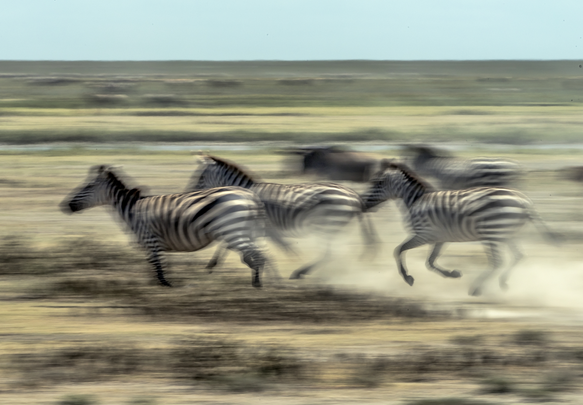 Tanzania 2016 - La corsa