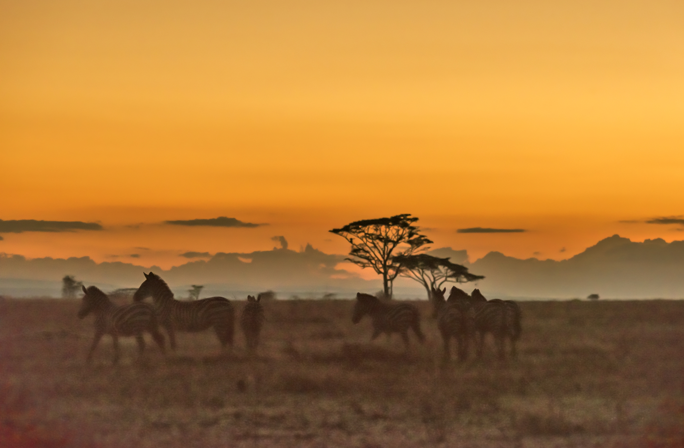 Tanzania 2016 - Alba