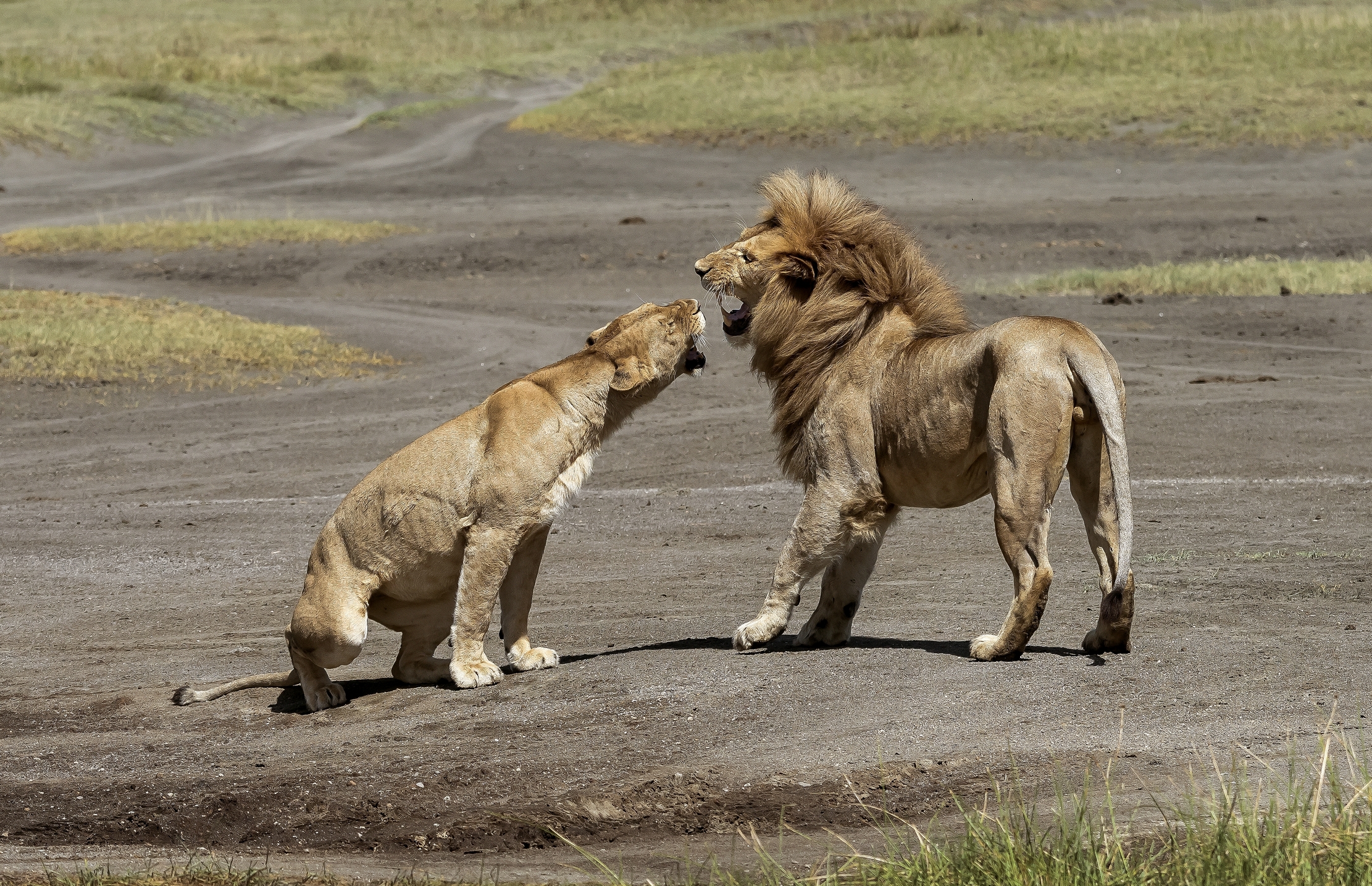 Tanzania 2016 - Disussioni