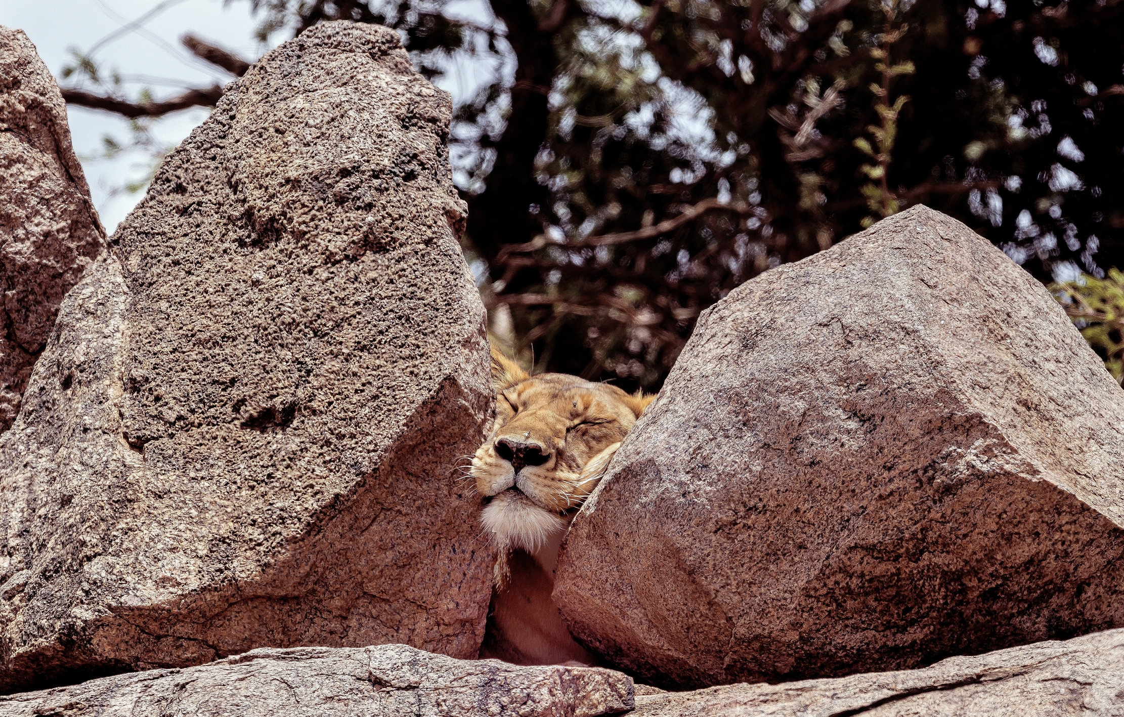 Tanzania 2016 - Siesta
