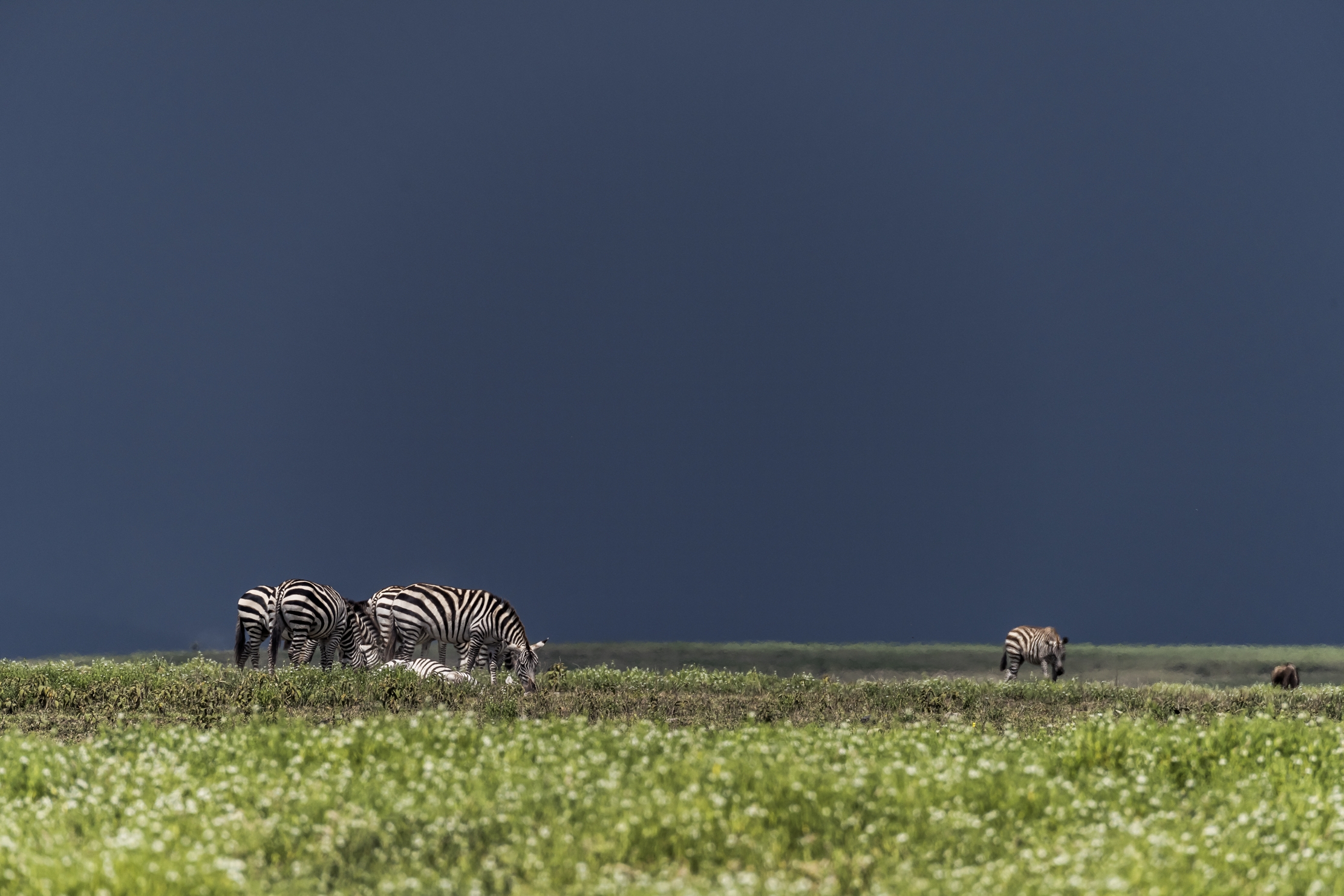 Tanzania 2016 - Cielo minaccioso