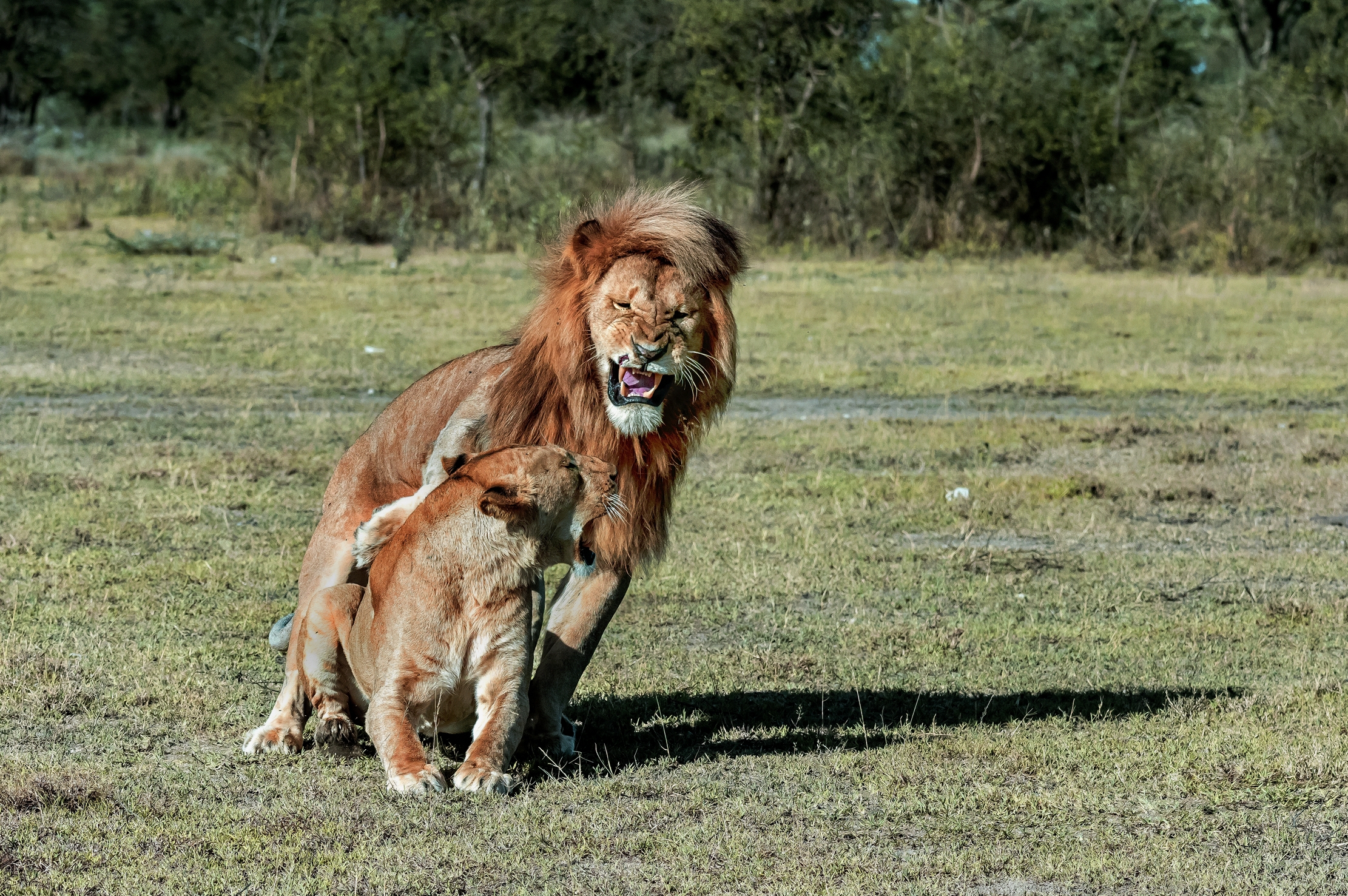 Tanzania 2016 - Nervosismi
