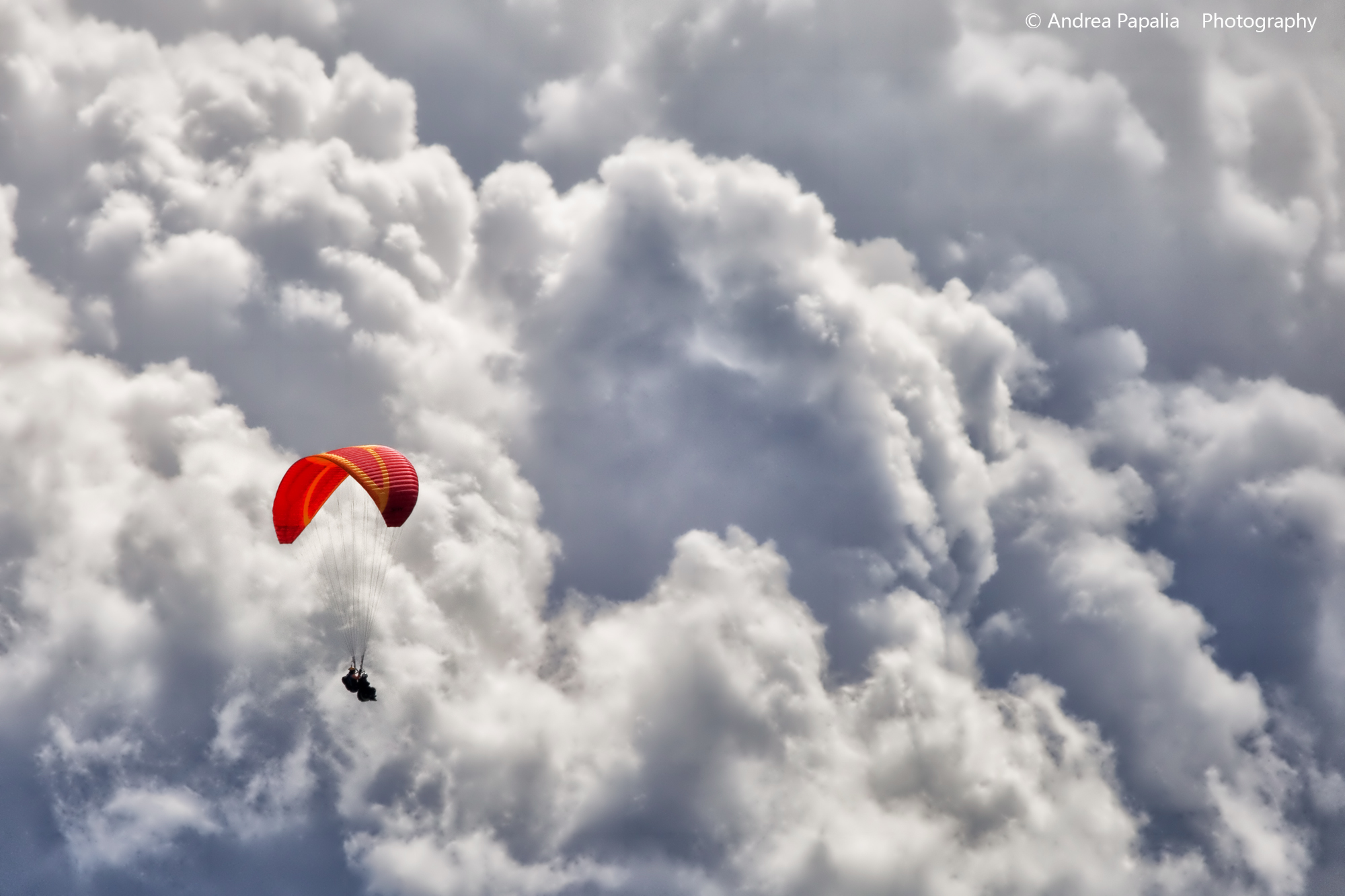 Quel senso di libertà.. che soltanto volare...
