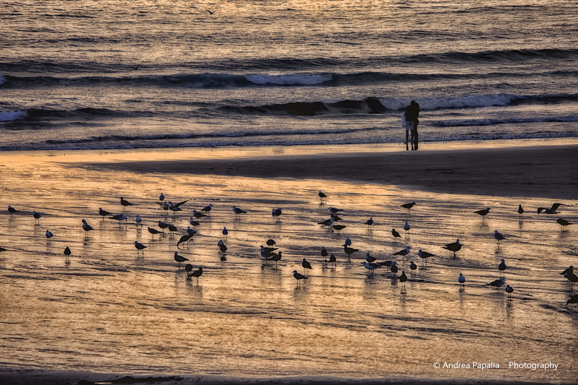Testimoni silenziosi dell'amore