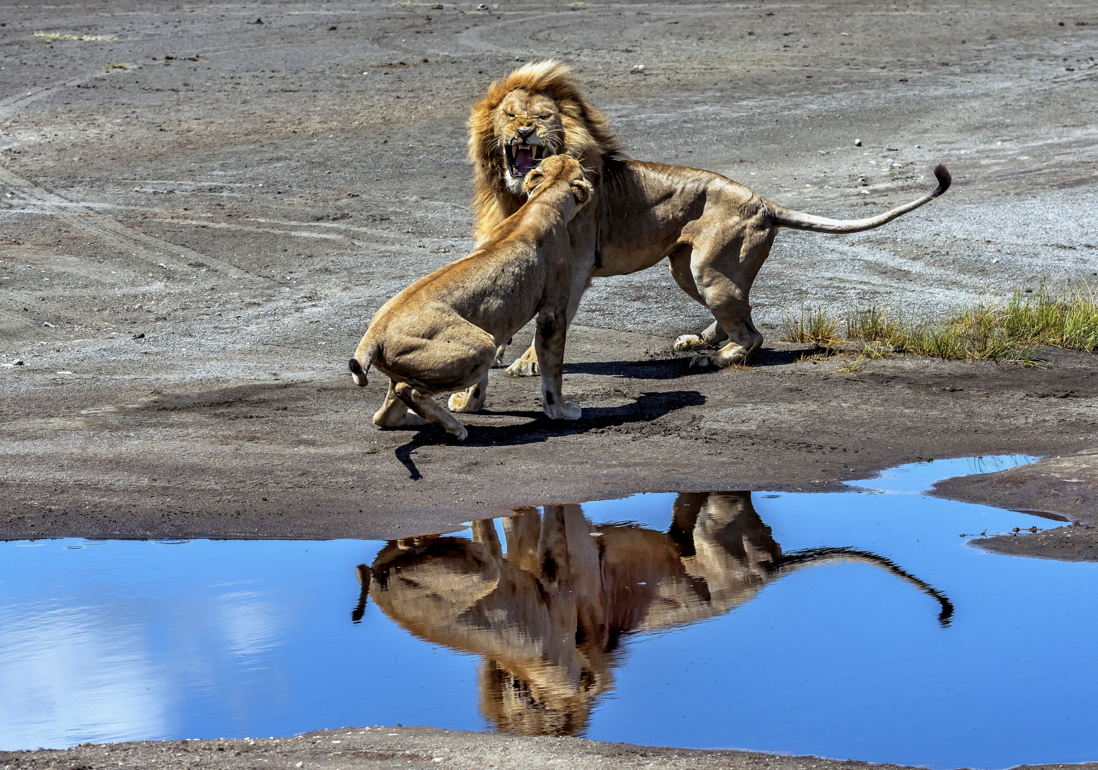 Tanzania 2016 - Incomprensioni