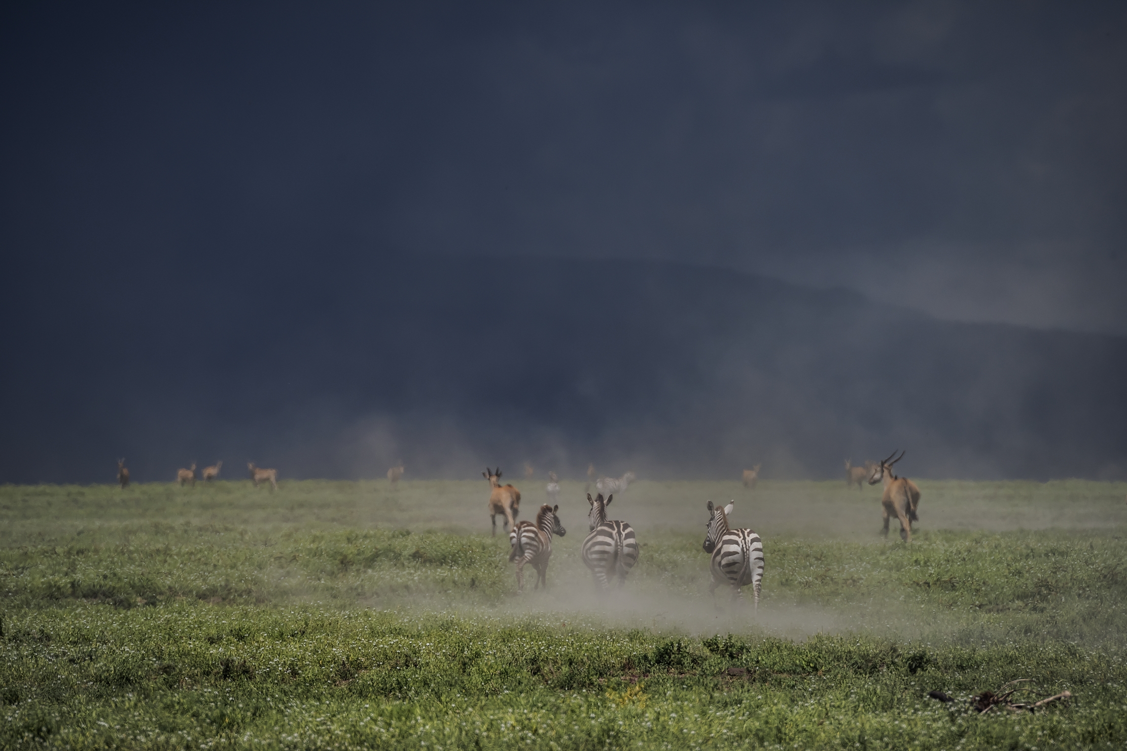 Tanzania 2016 - Aria di tempesta