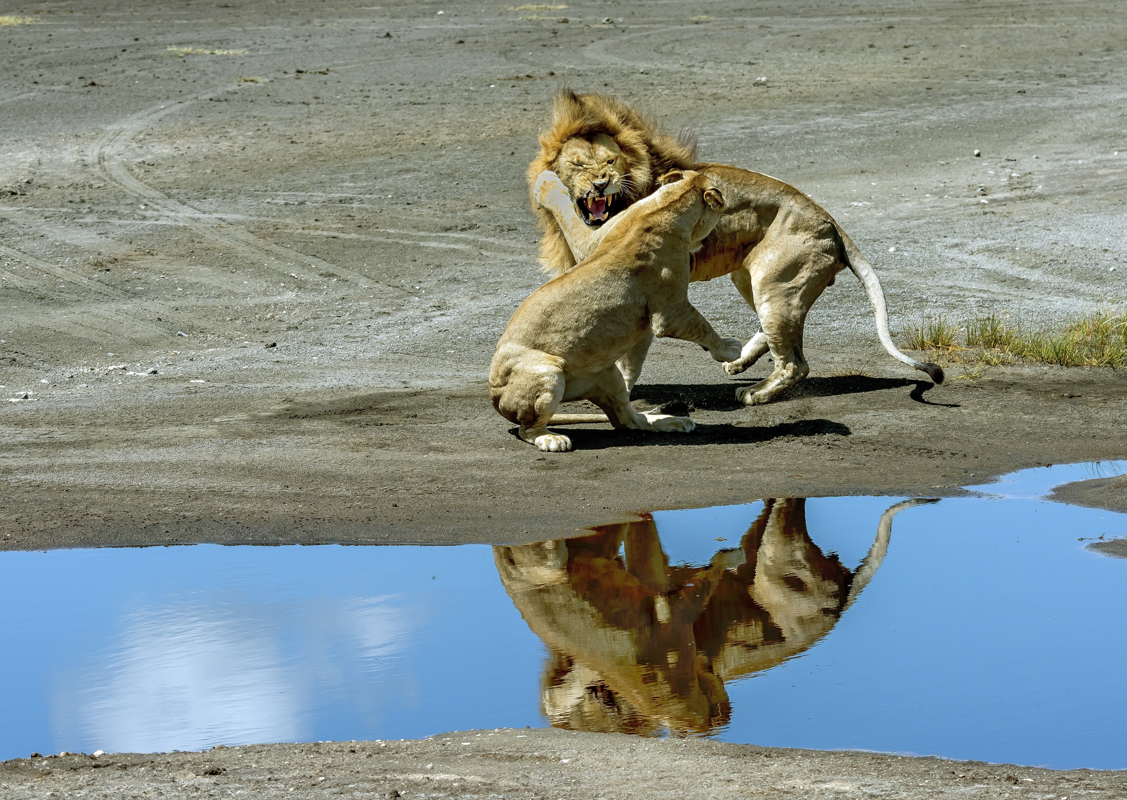 Tanzania 2016 - Incomprensioni