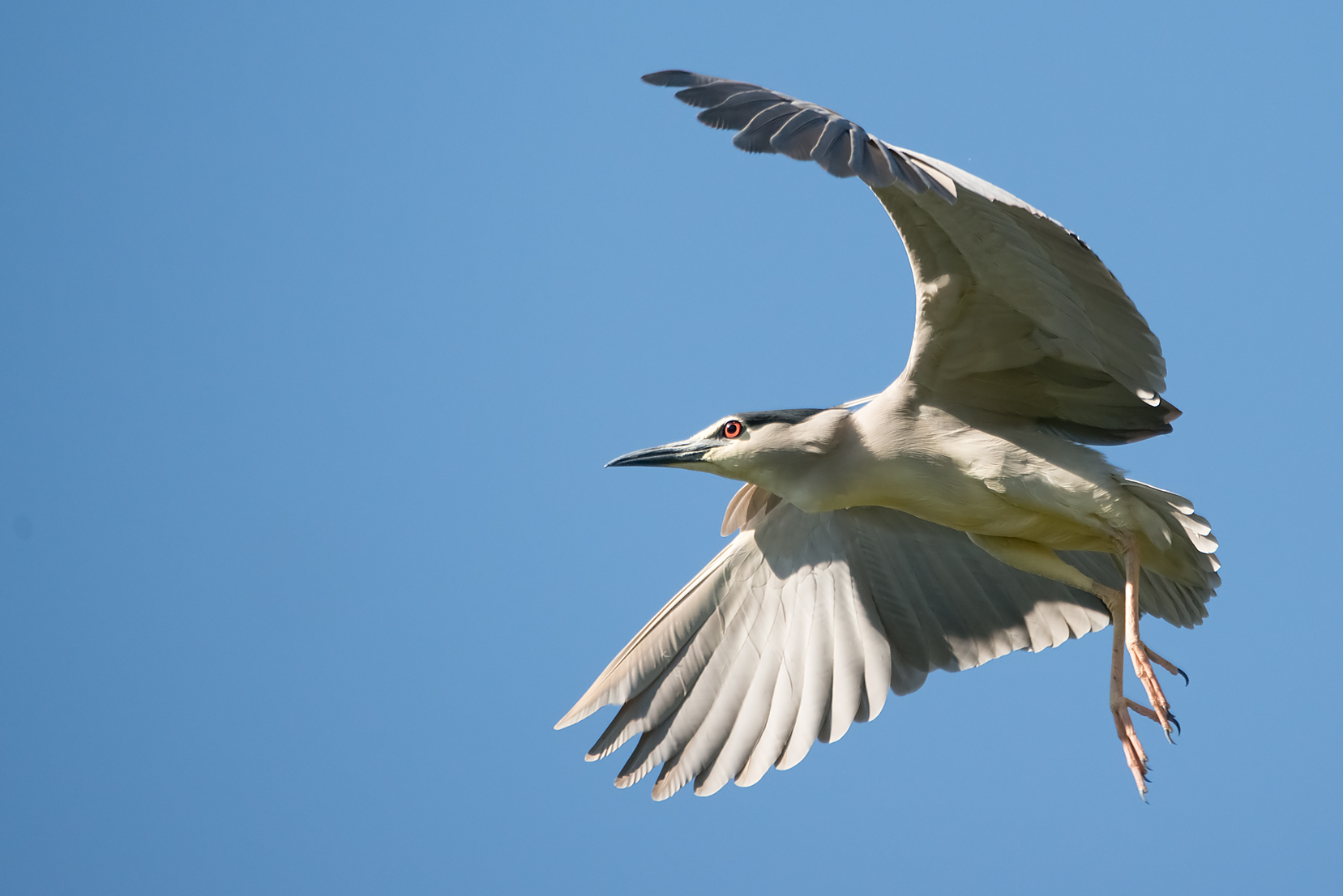 Geronimoooooooo ...... www.mauriziotavoliere.it