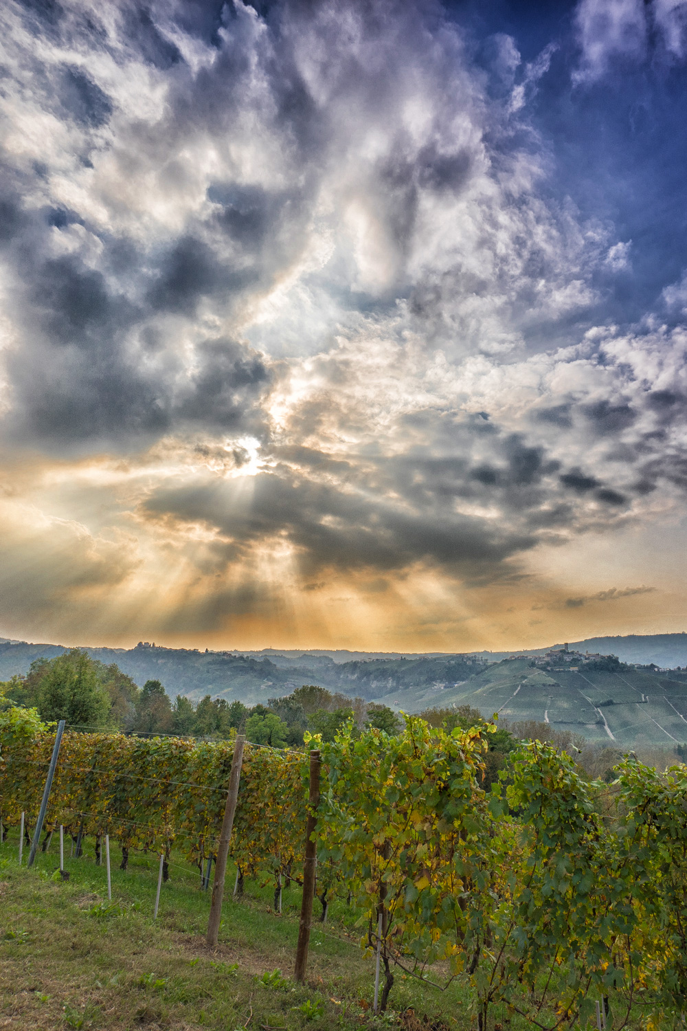 Sunset on the Langhe
