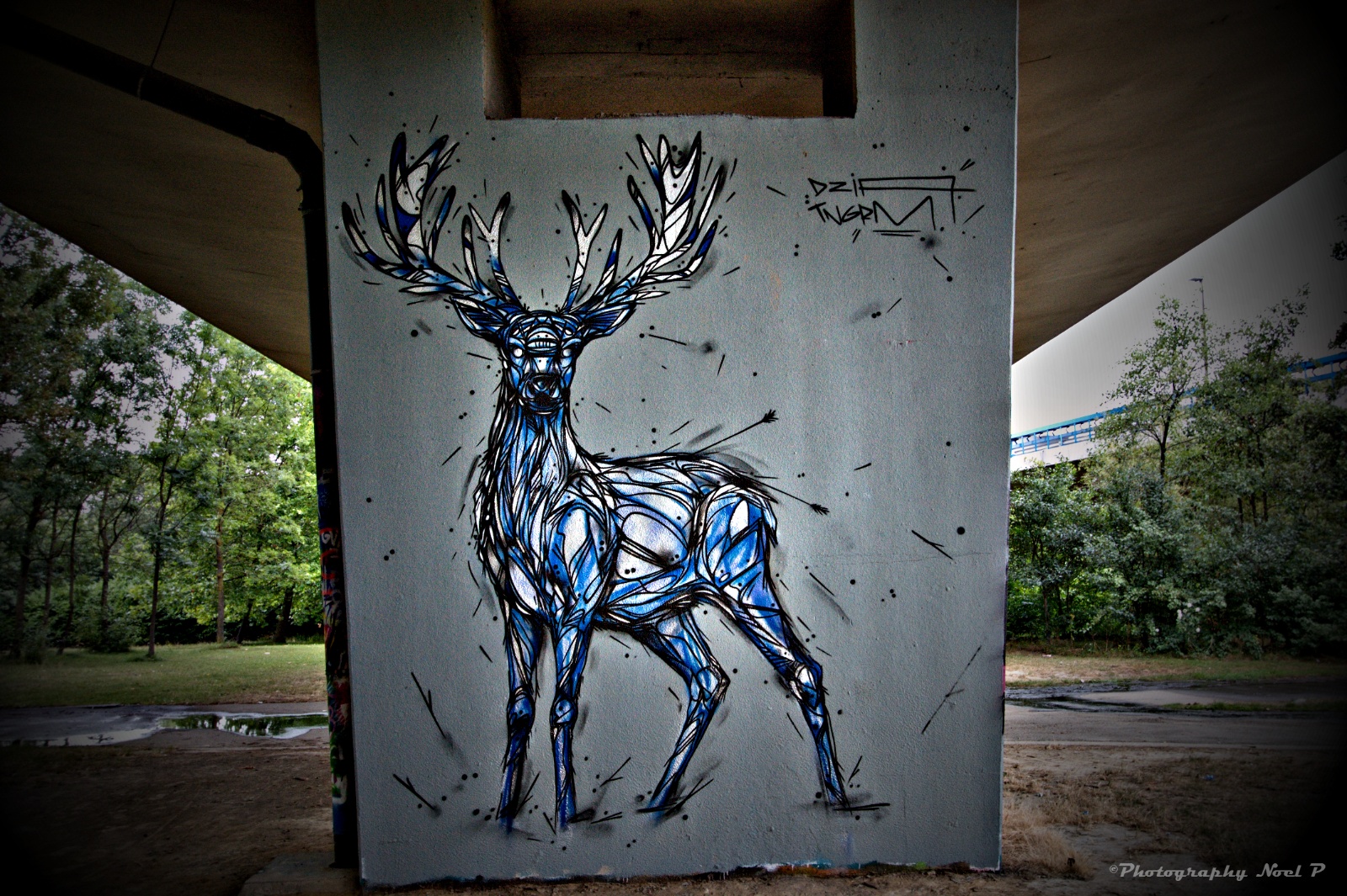 Fatto da Dzia (Belgio