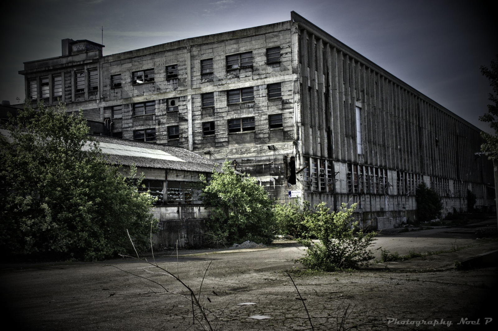 francese tessuto stampa vecchio