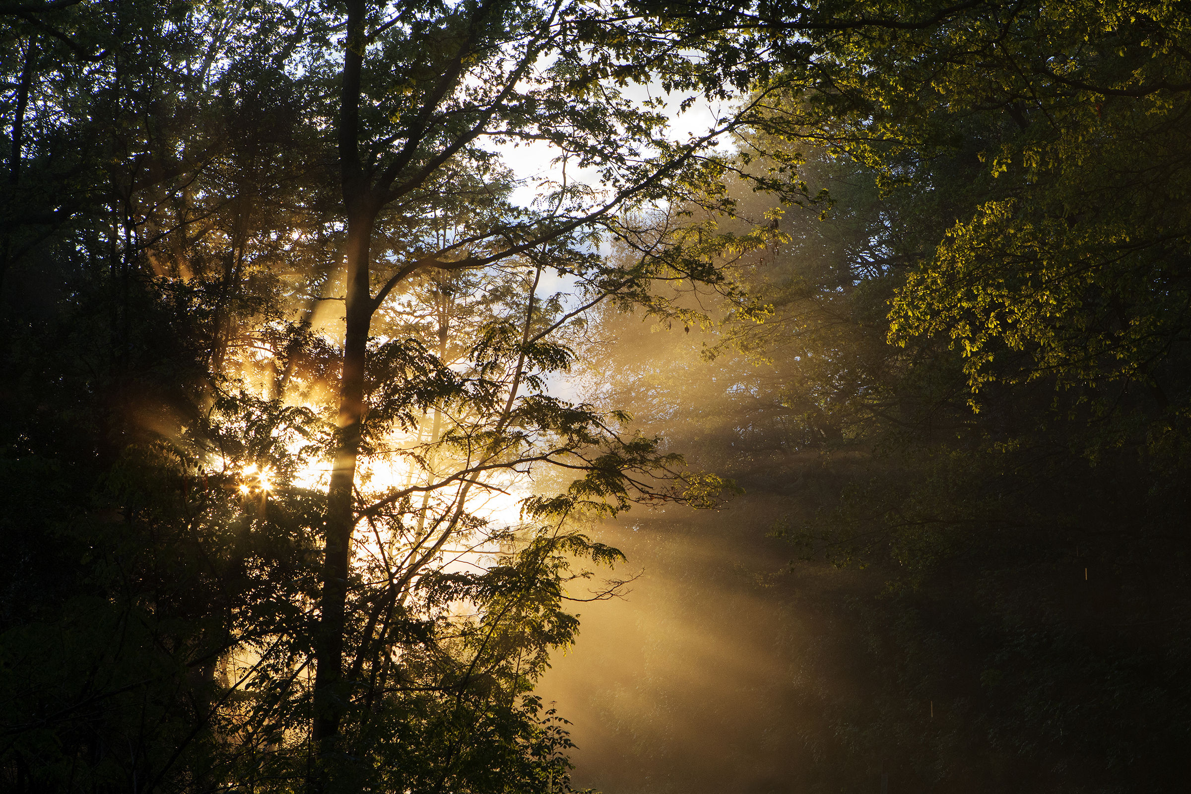 L'ultimo bacio del Sole