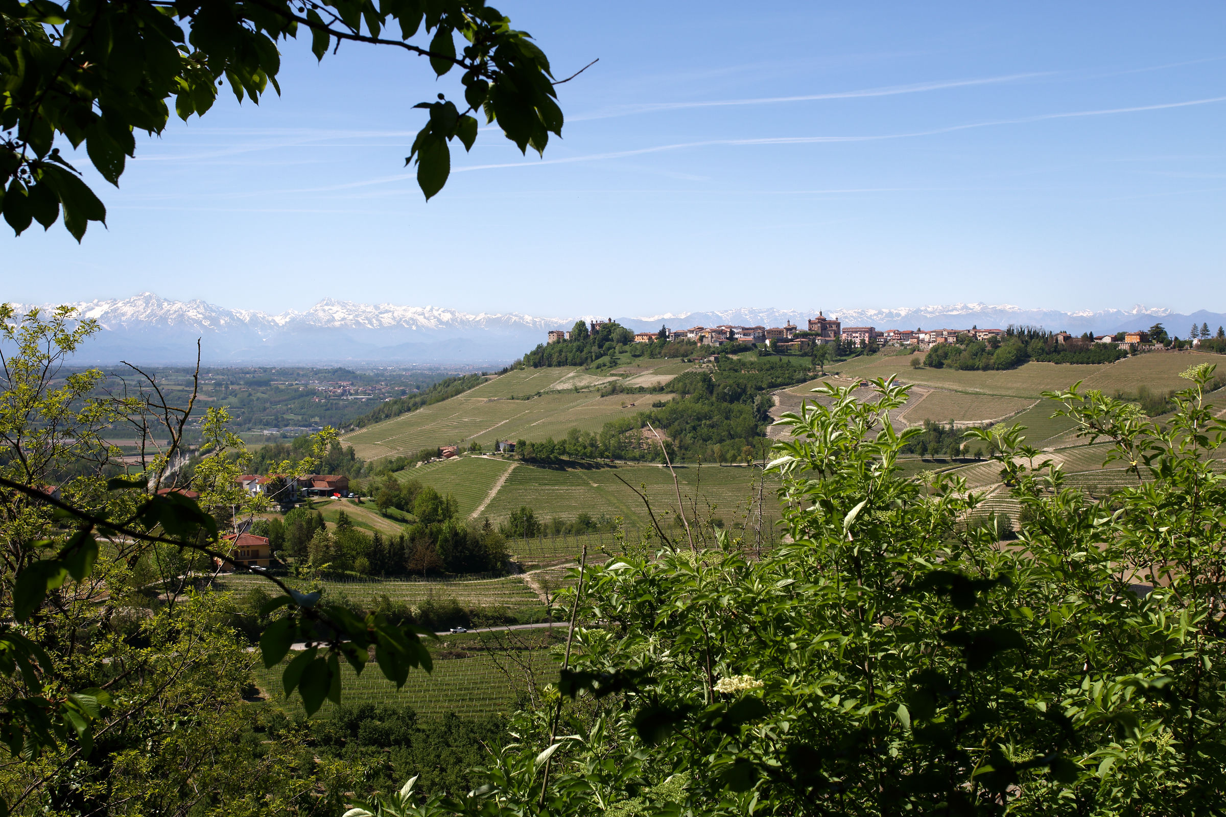 Langhe - View
