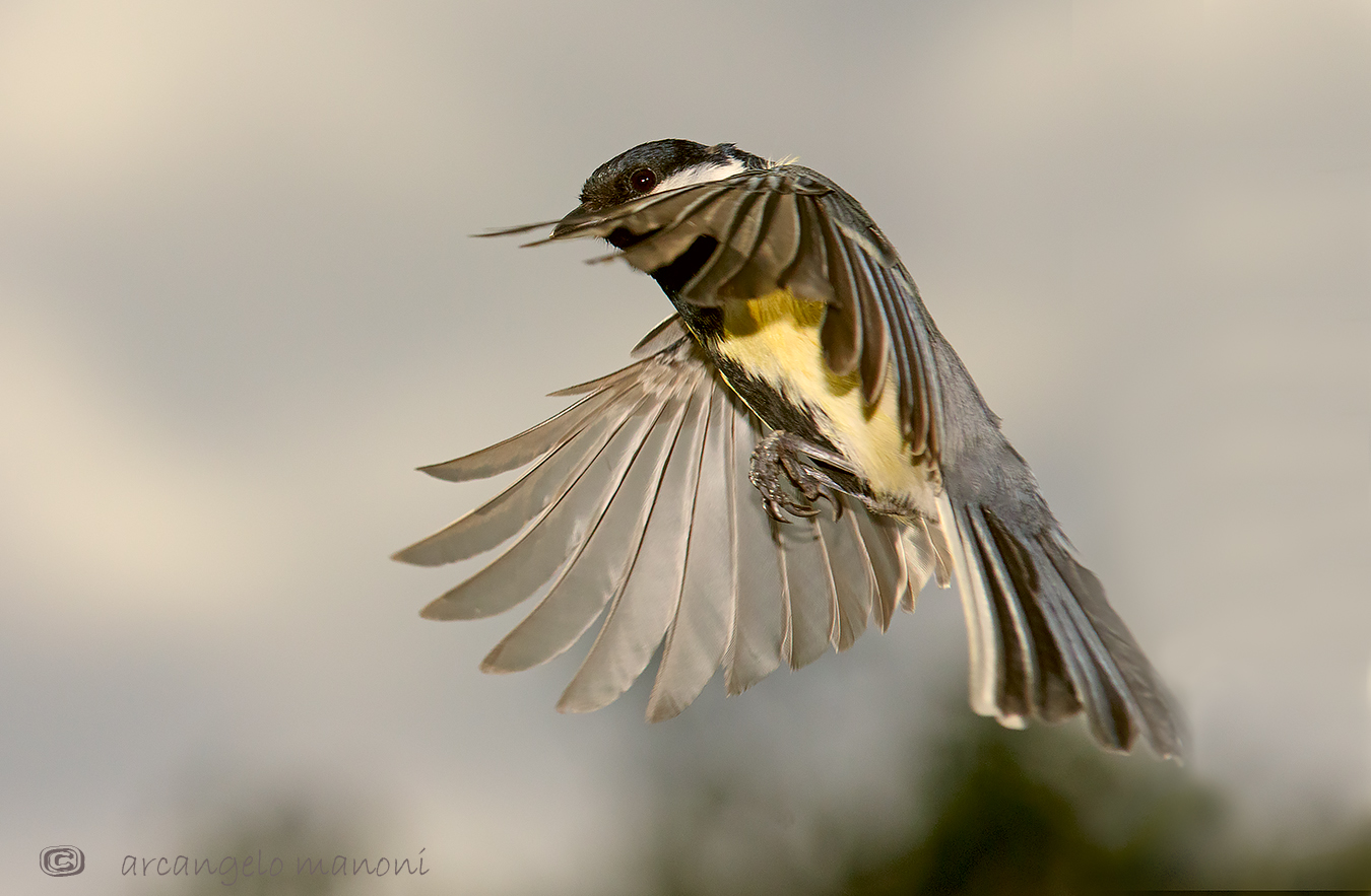 Passaggio a nord ovest