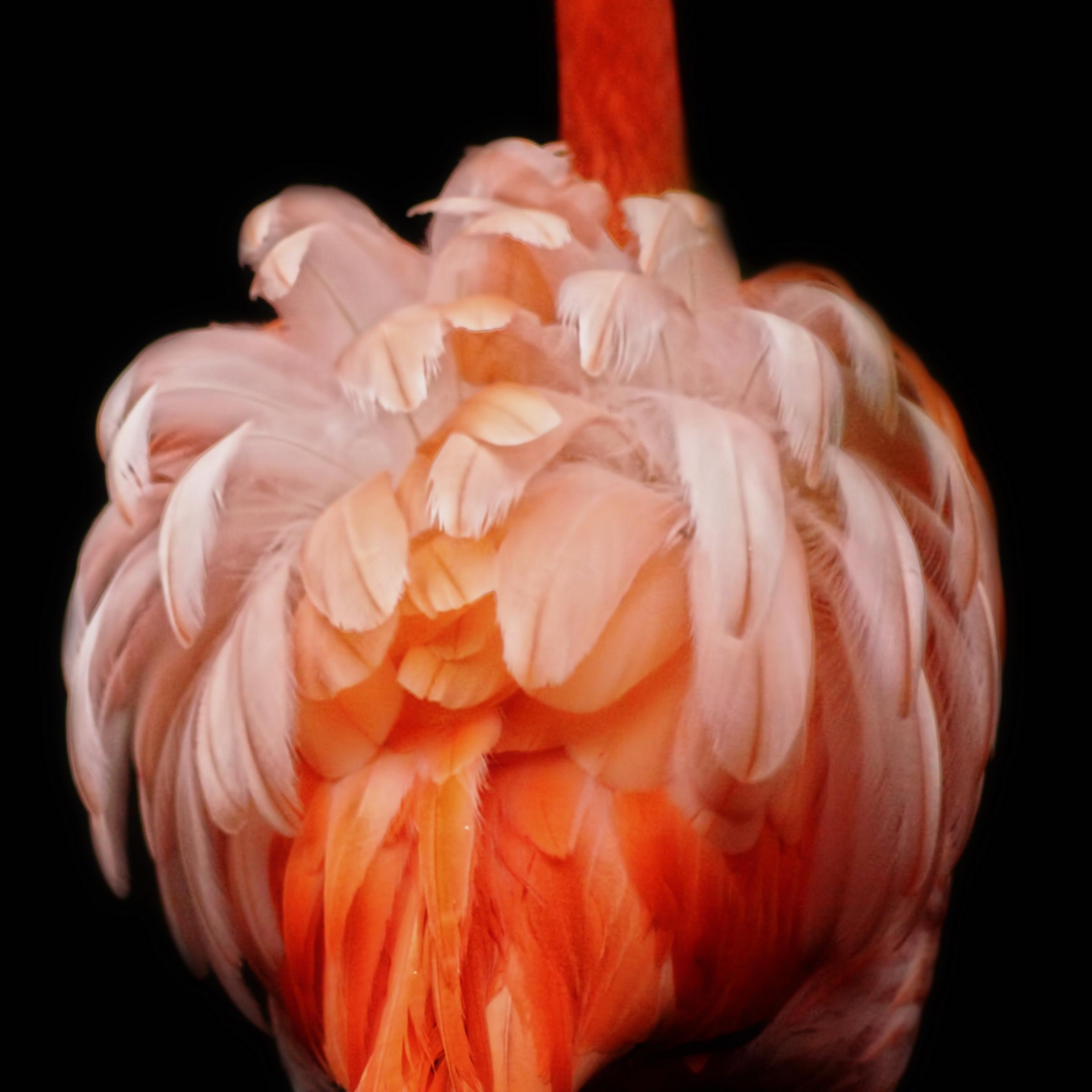 ... Like a soubrette of varieties .. !!!