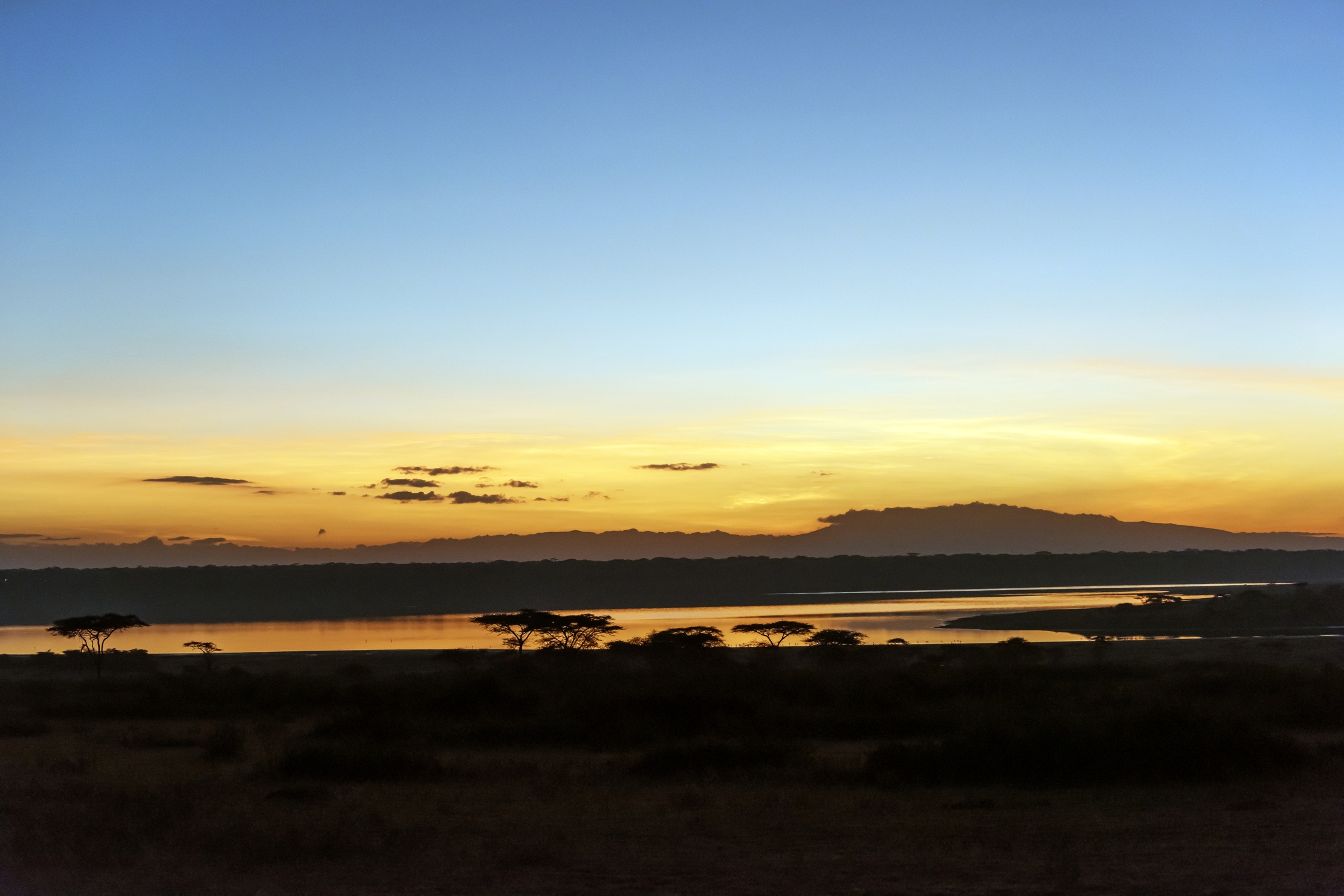 Tanzania 2016 - Alba a Ndutu