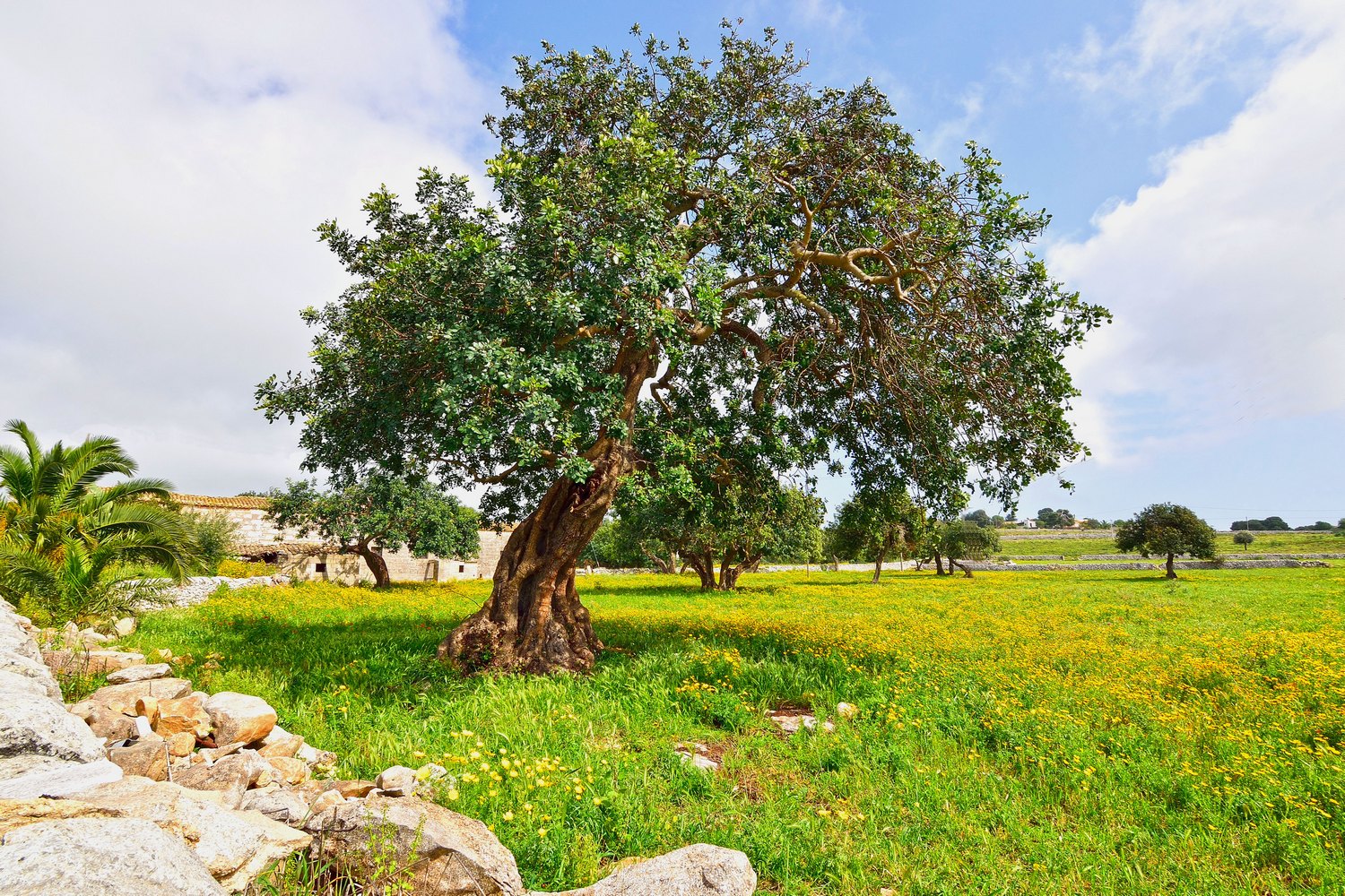 paesaggio del ragusano