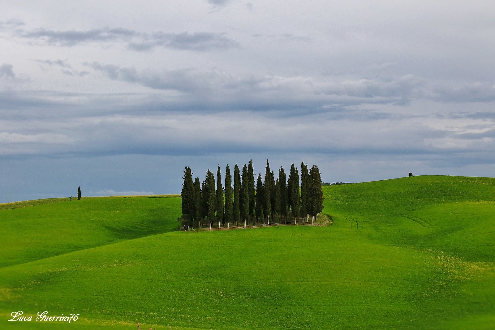 The cypress of San Quirico d'Orcia Location "The Tr...