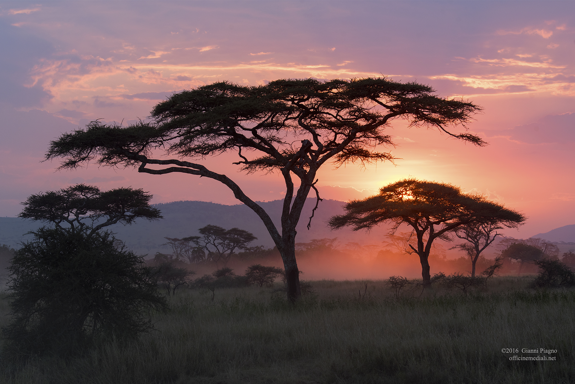 Tramonto sul Serengeti