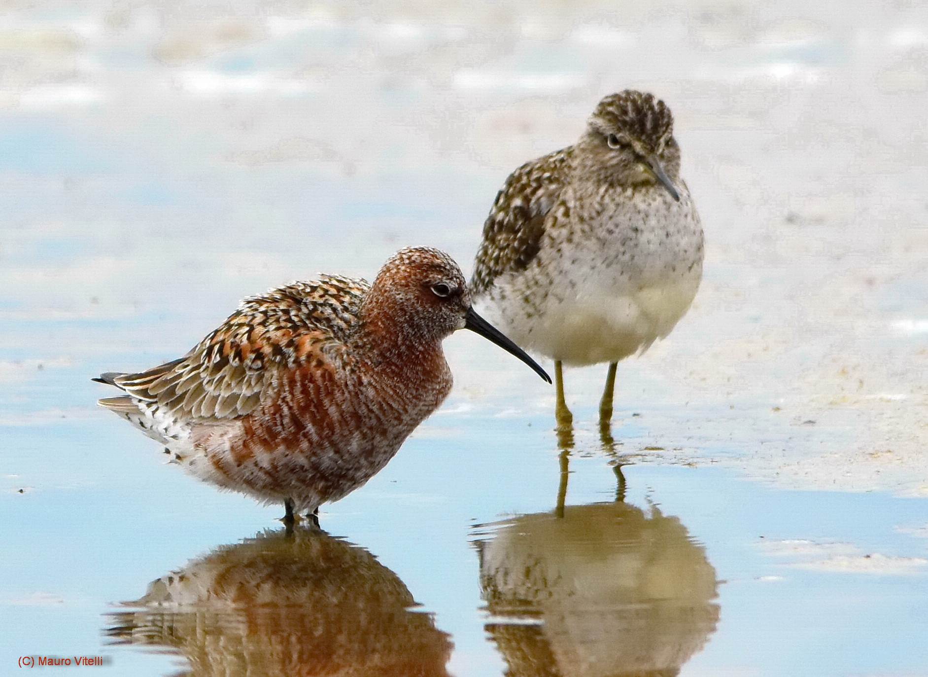 Friends but different