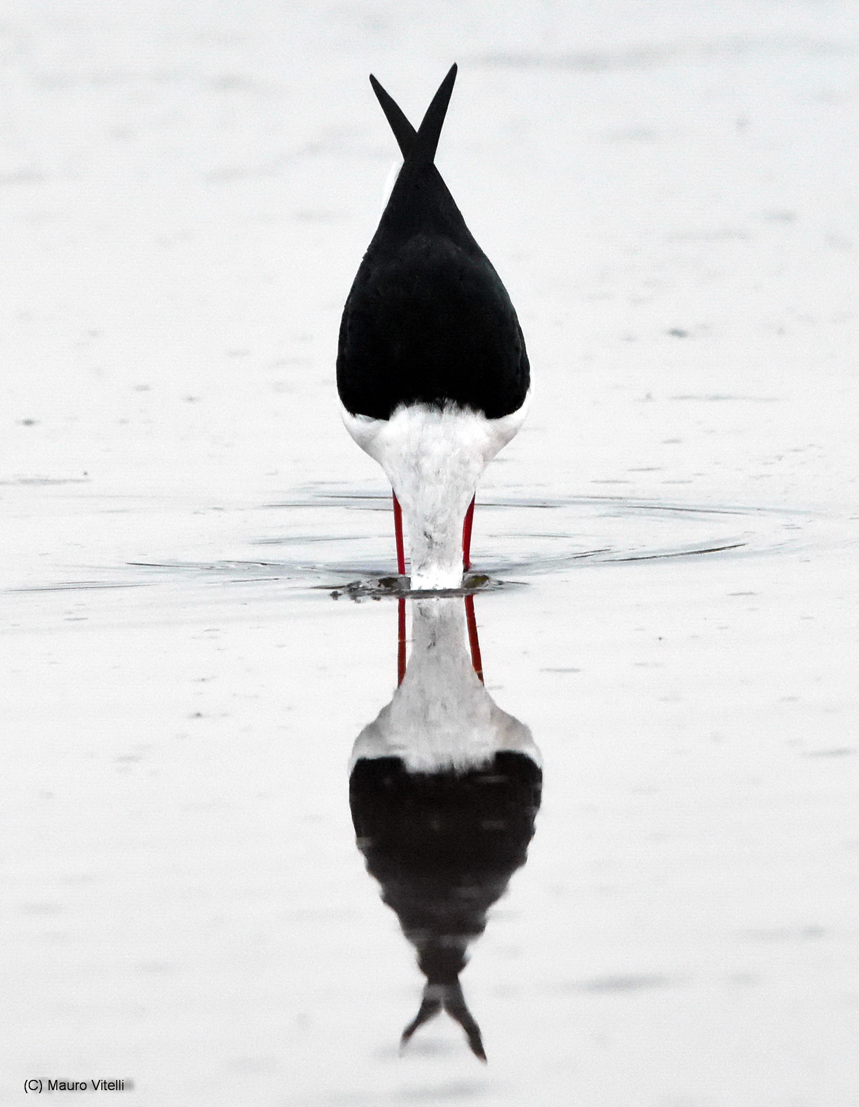 perfectly symmetrical