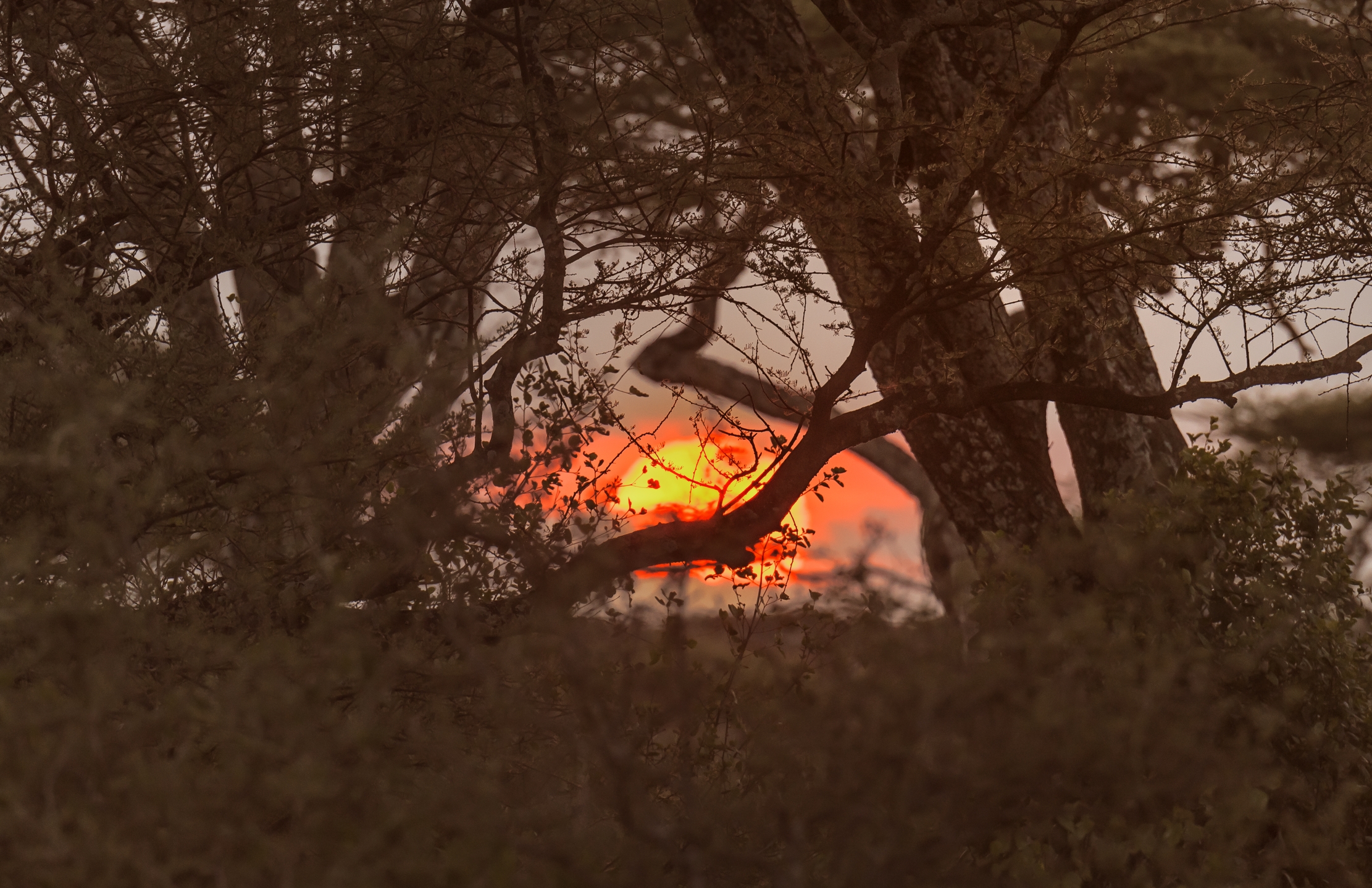 Tanzania 2016 - Tramonto