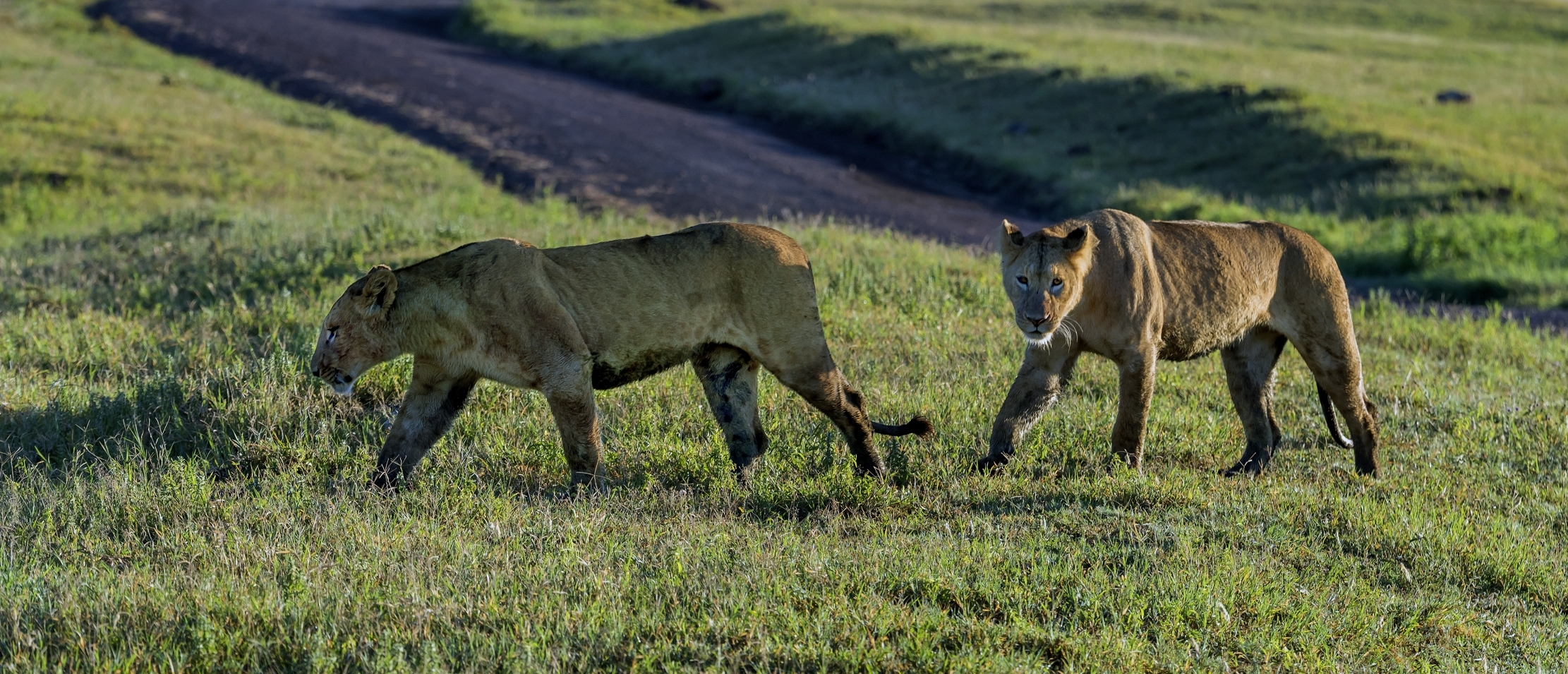 Tanzania 2016 - Sorelle