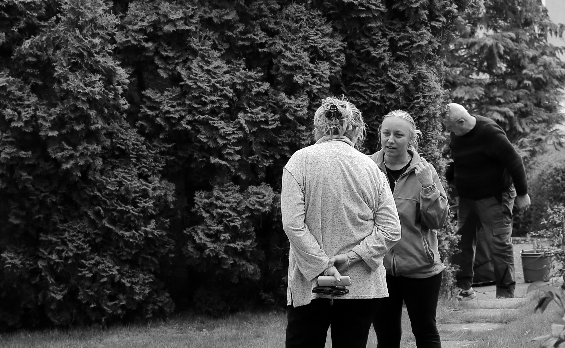 Maria Terezia, Willi