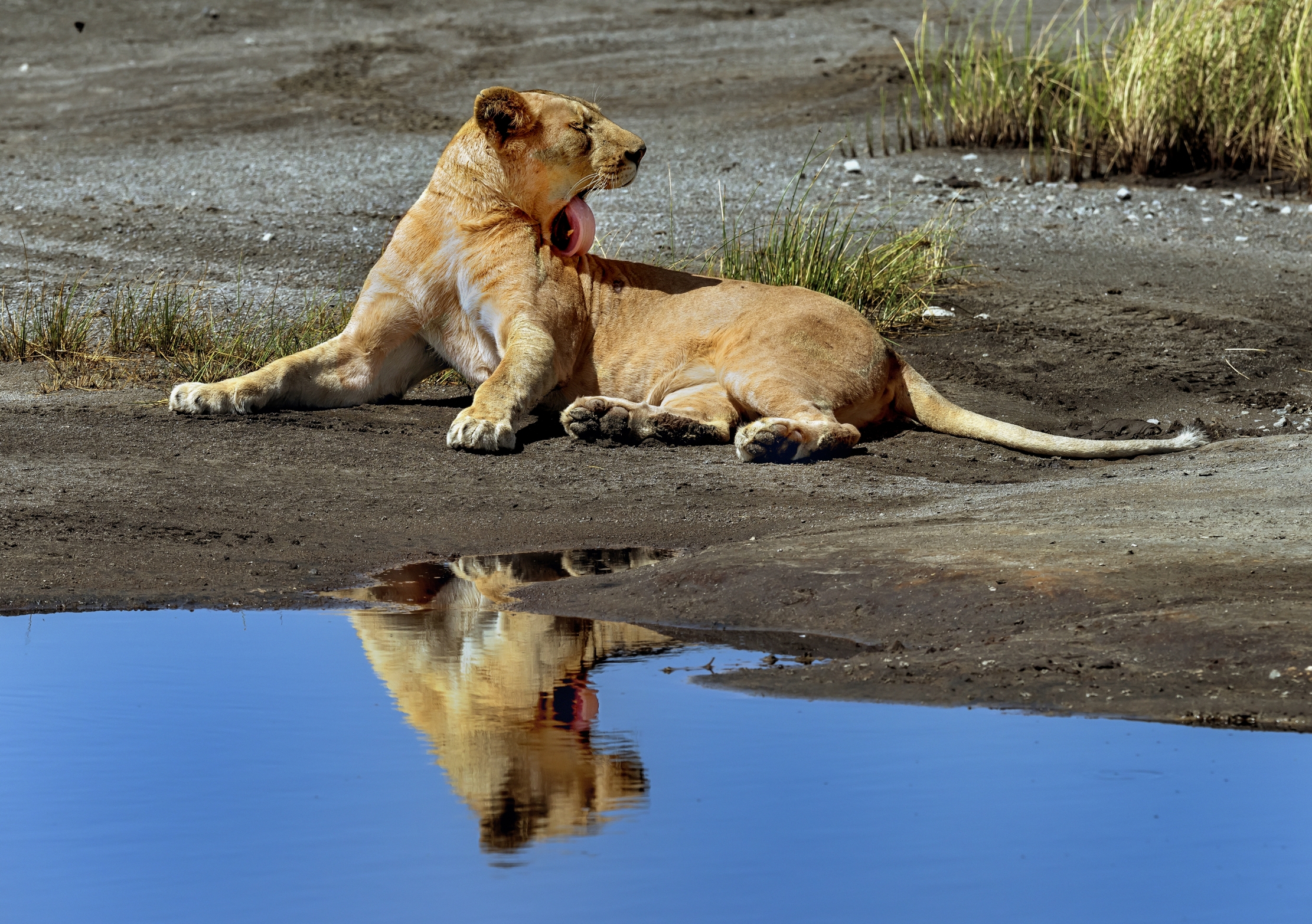 Tanzania 2016 - Pulizie allo specchio