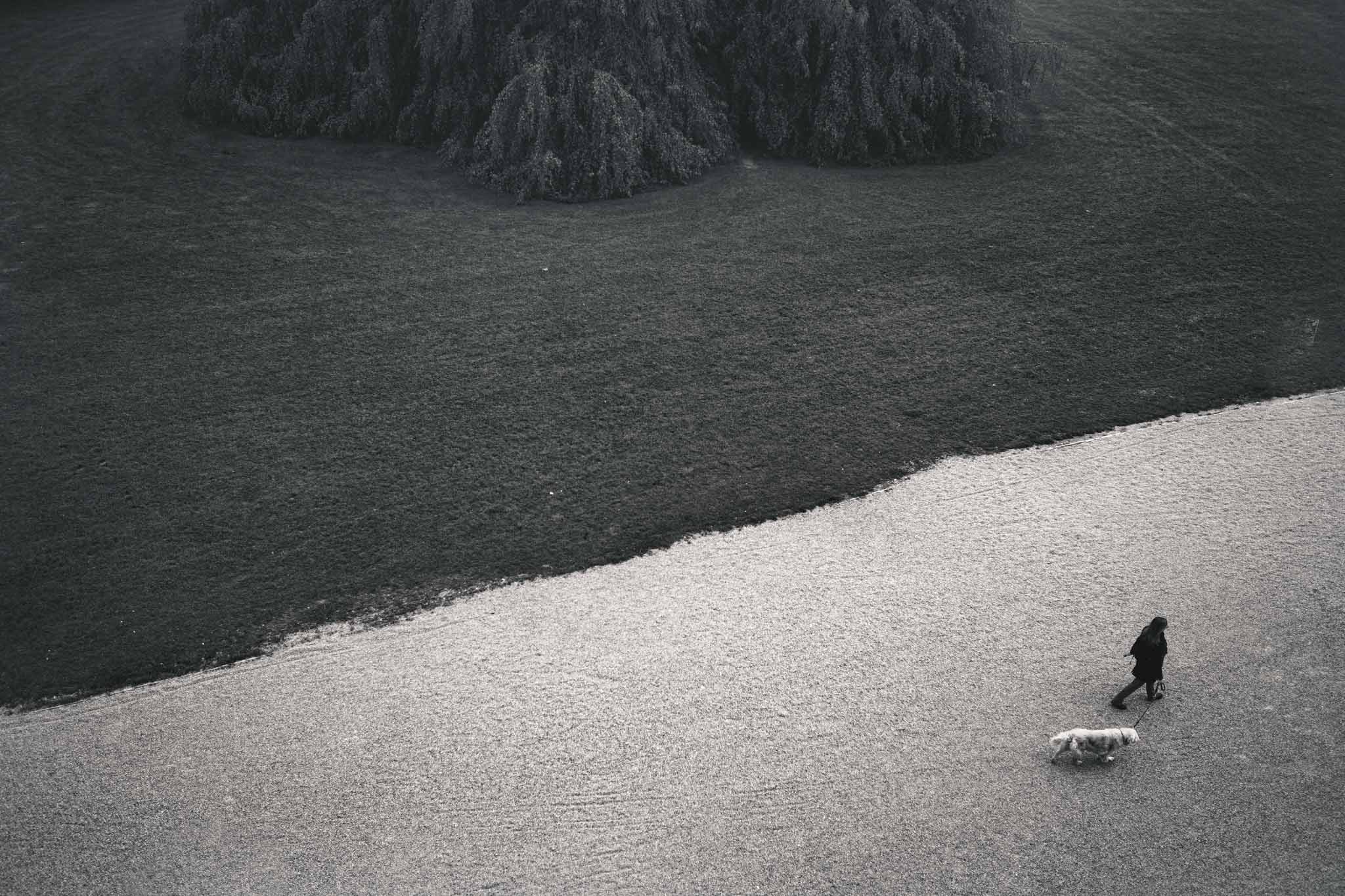 Beyond the Window - Monza - 6