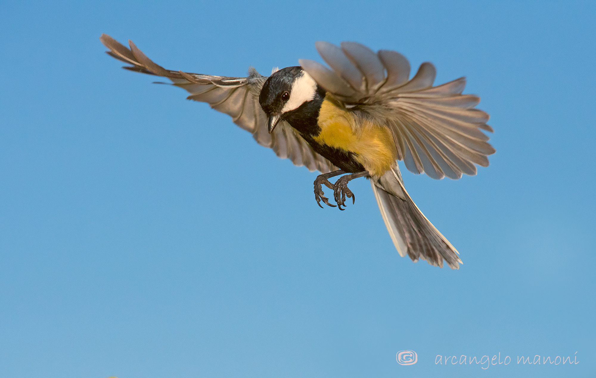volo di ricognizione 2