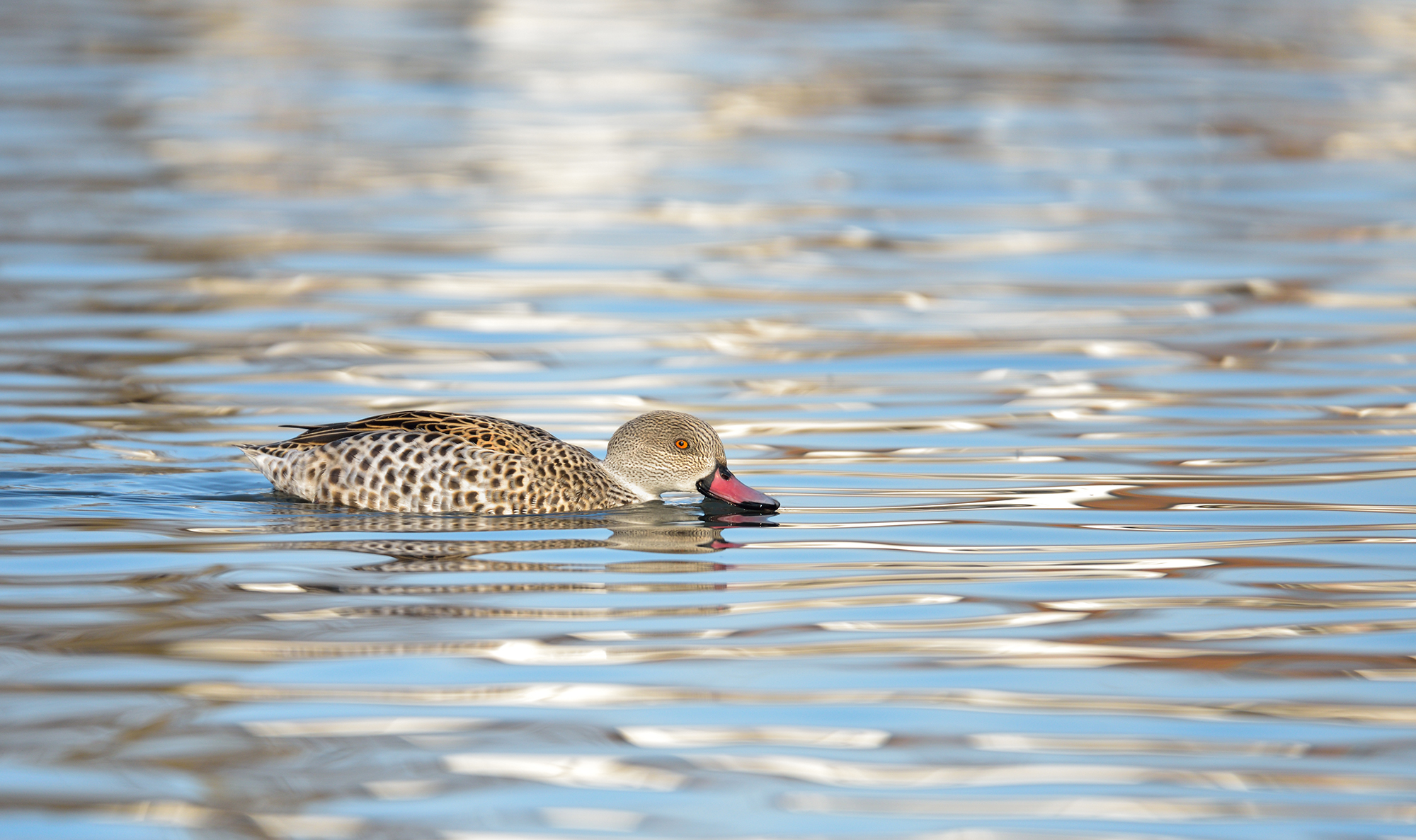 Slices of heaven in the waves