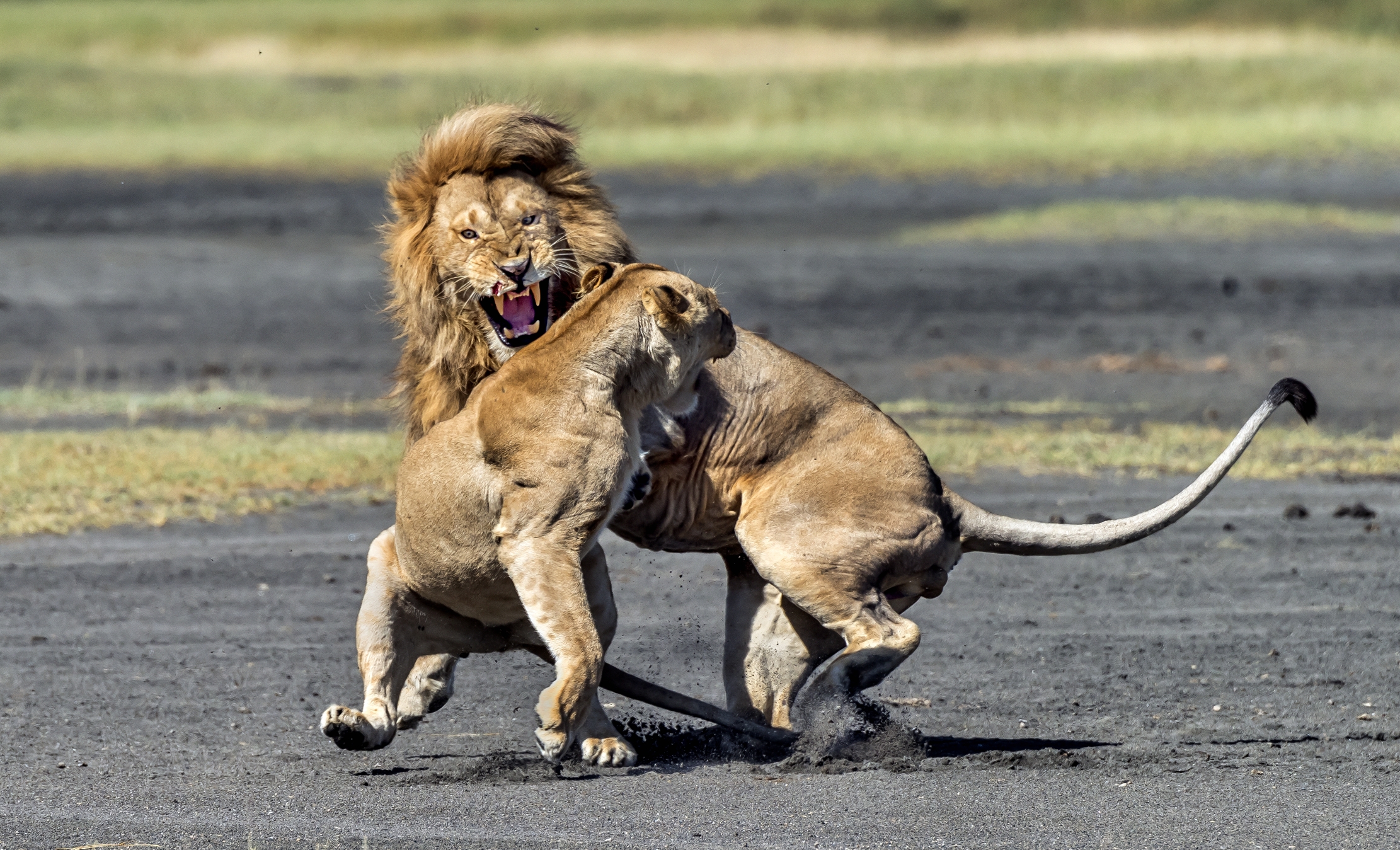 Tanzania 2016 - Nervosismo