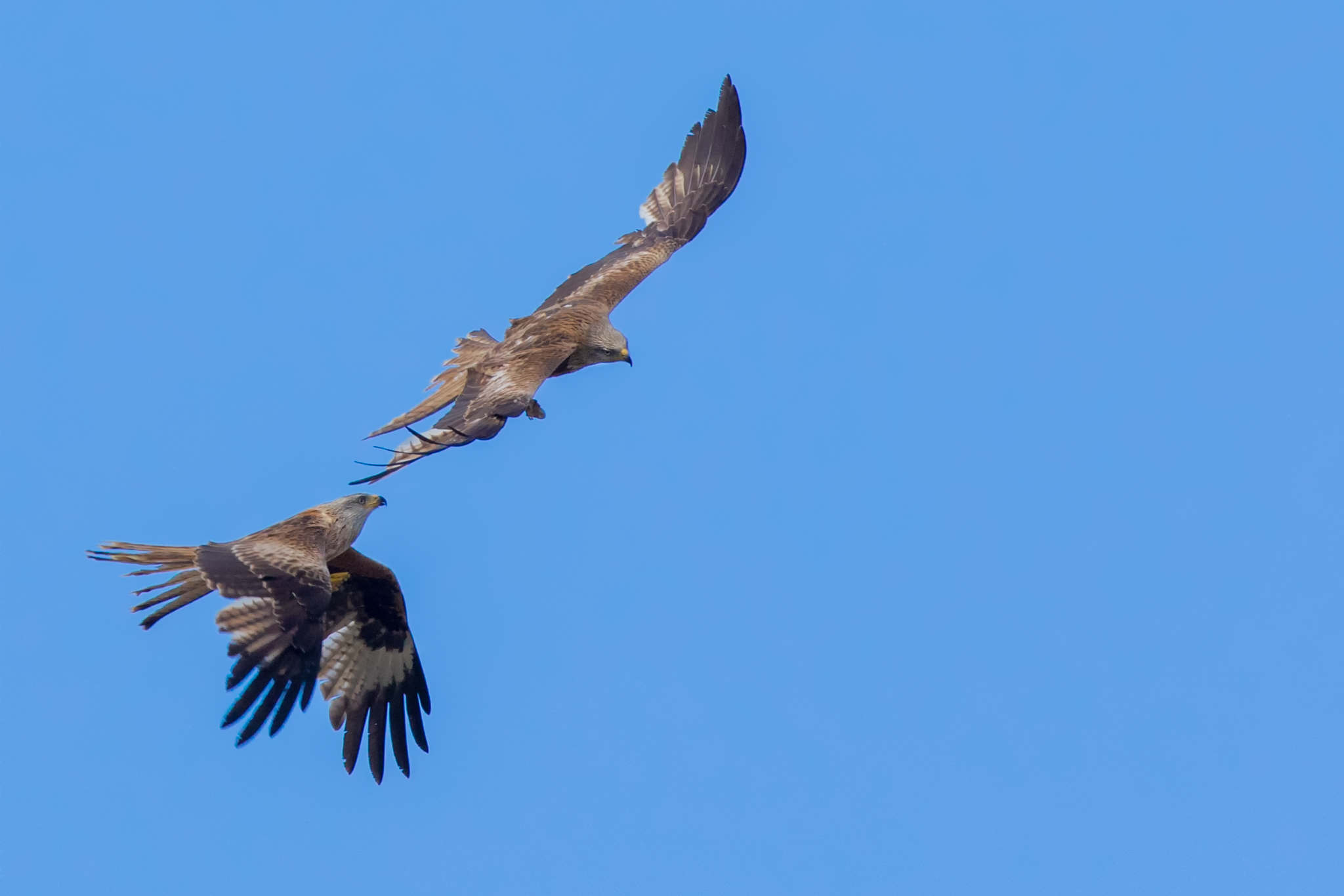 But who wants that? (Part 1)