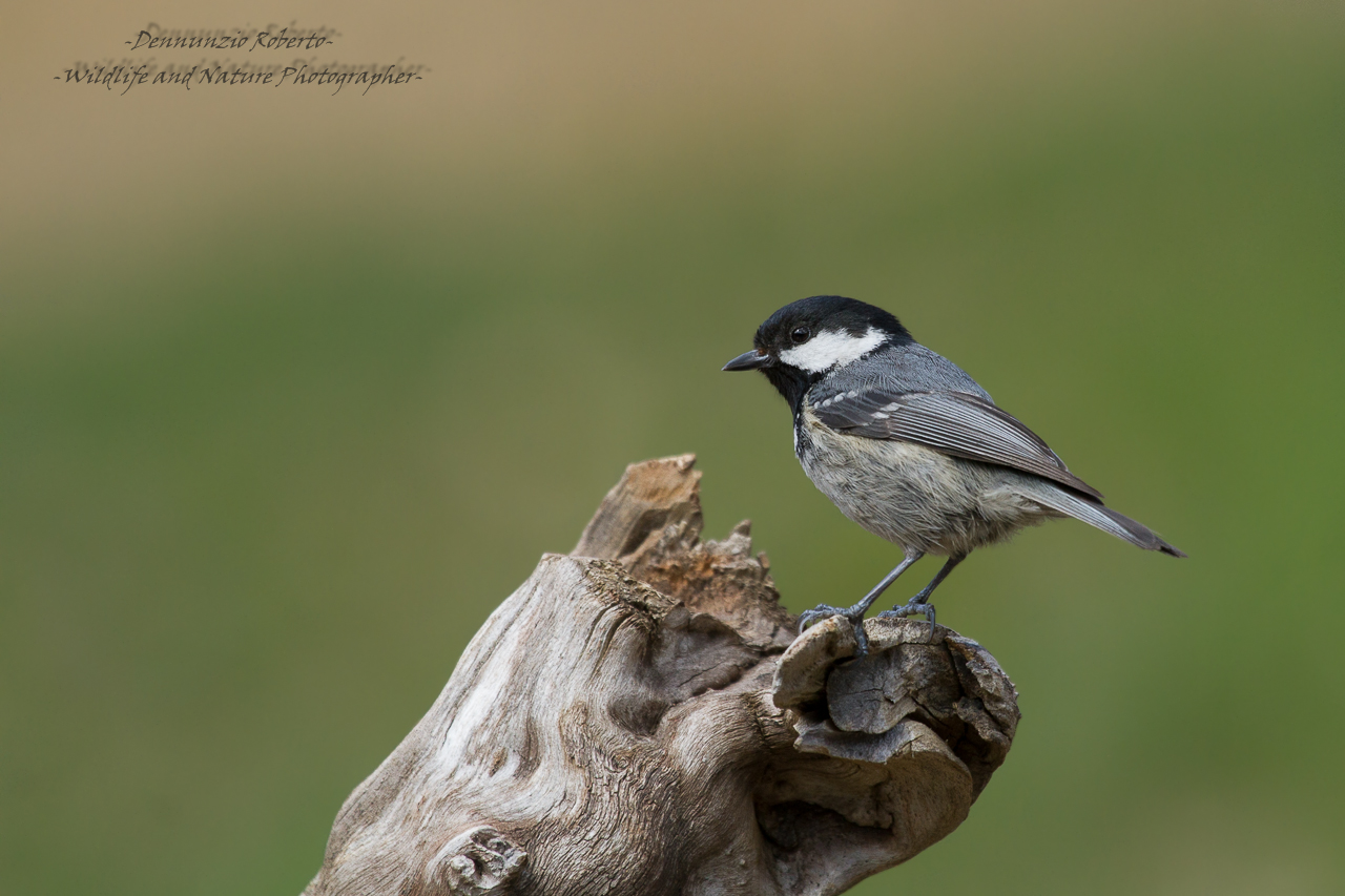 Baciati da un tiepido sole