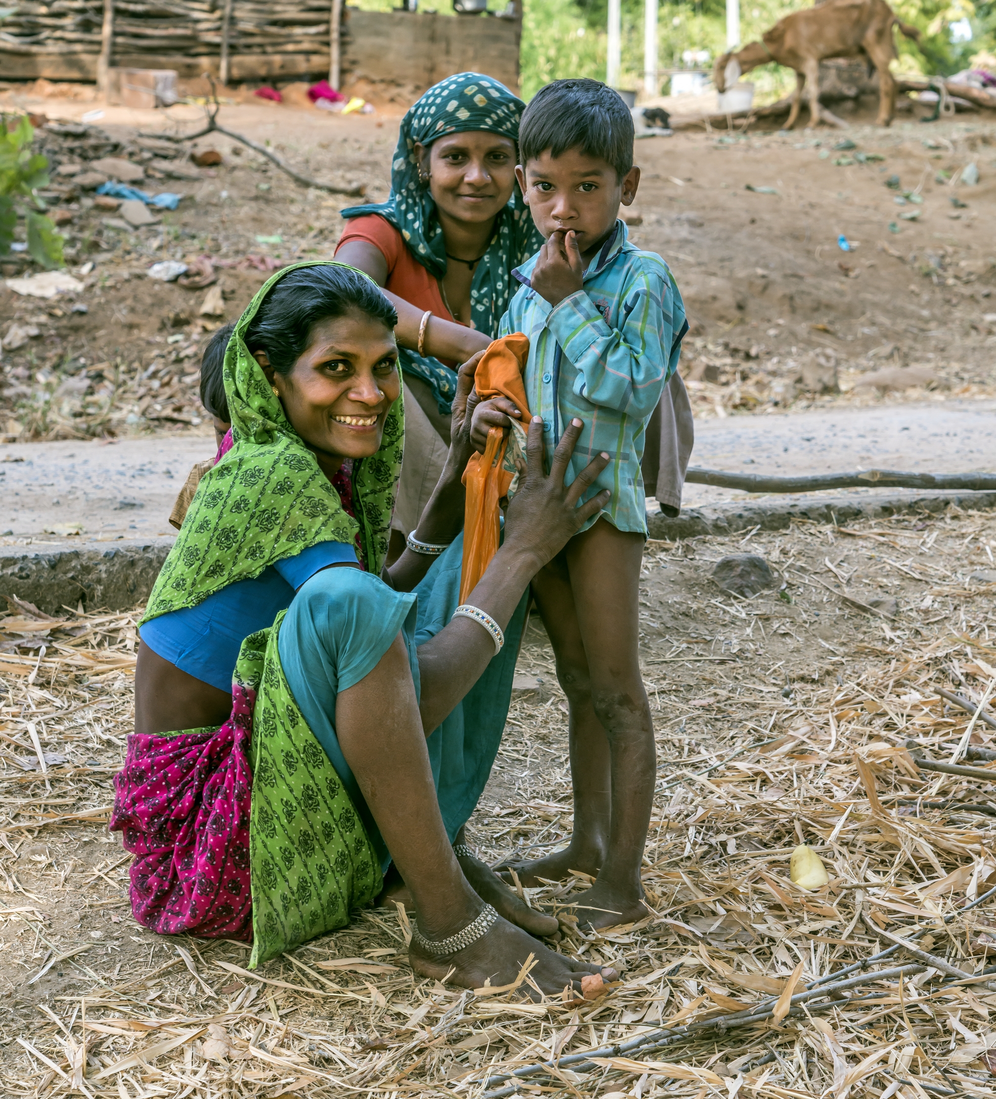 Gujarat 2015 - In campagna