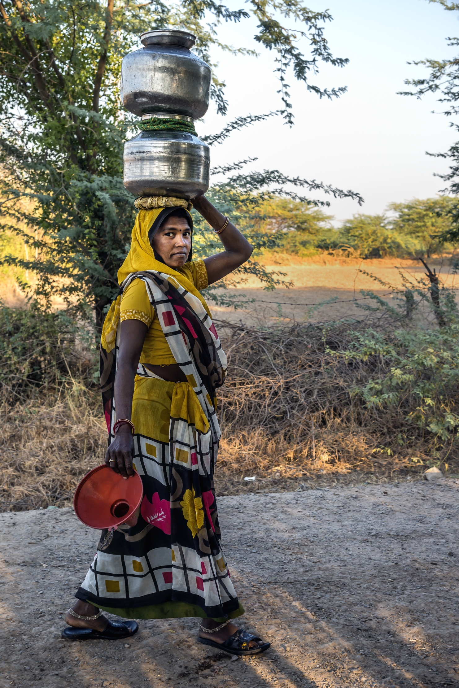 Gujarat 2015 - Contadina