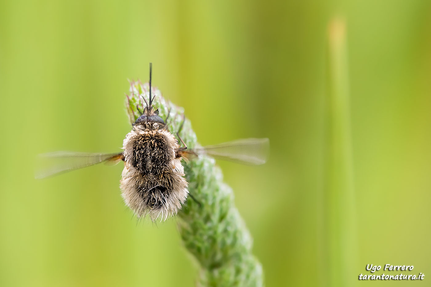 They warm up the engines