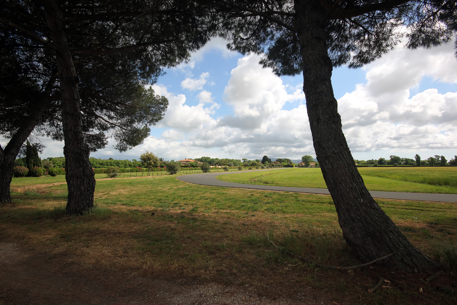 Luci ed ombre nel verde