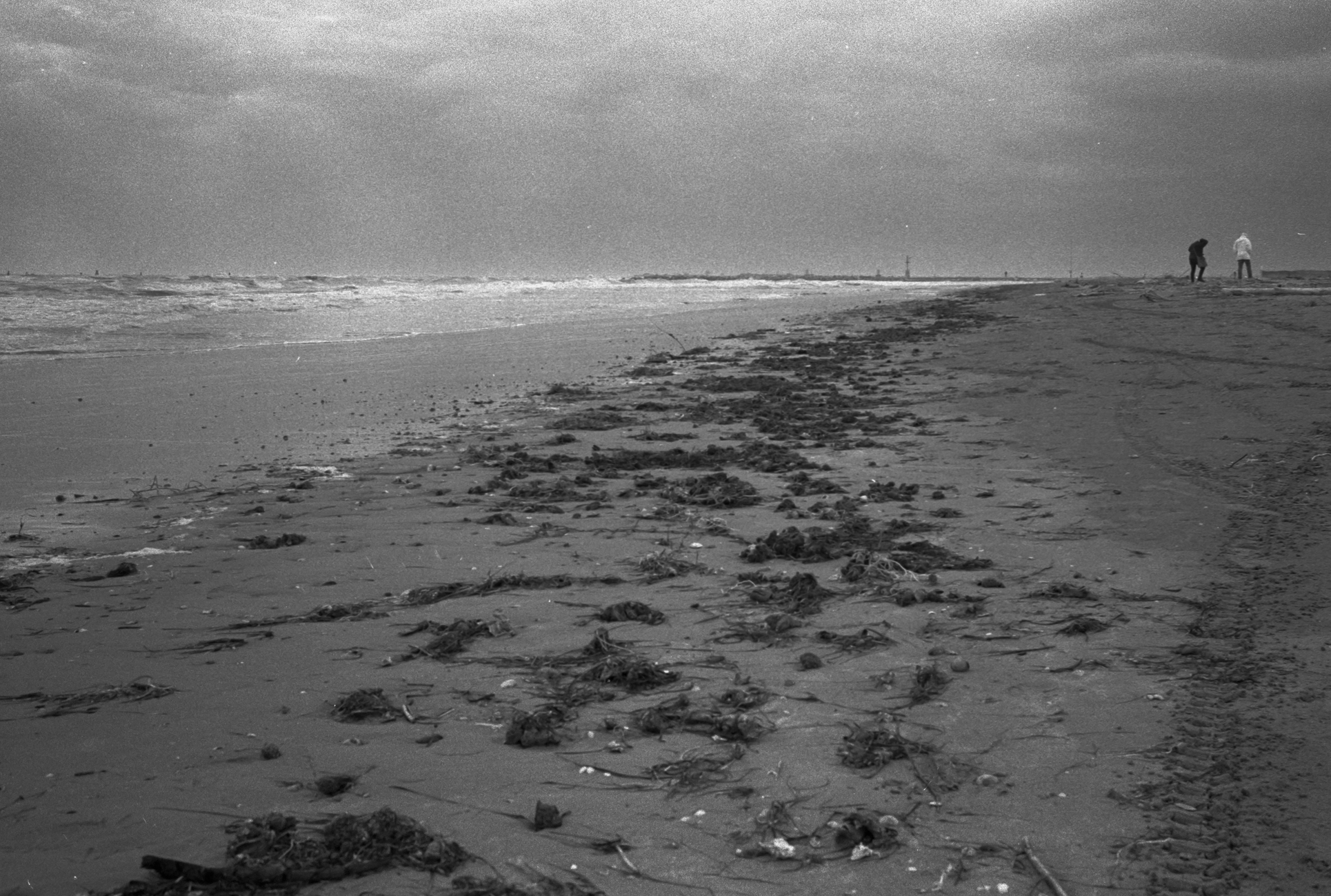 Nubi, acqua, alghe, passi.