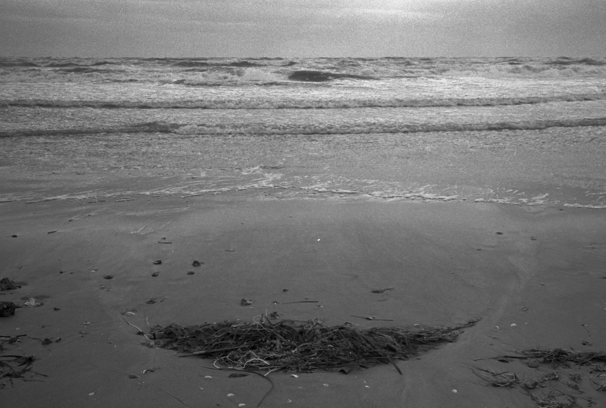 La luna sulla spiaggia