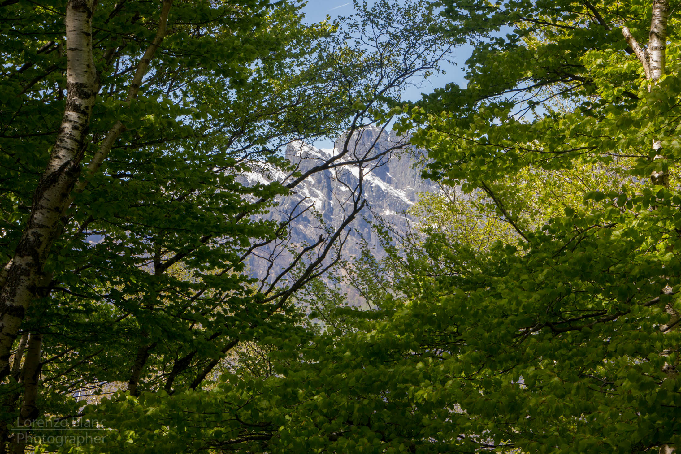 One eye on the mountain