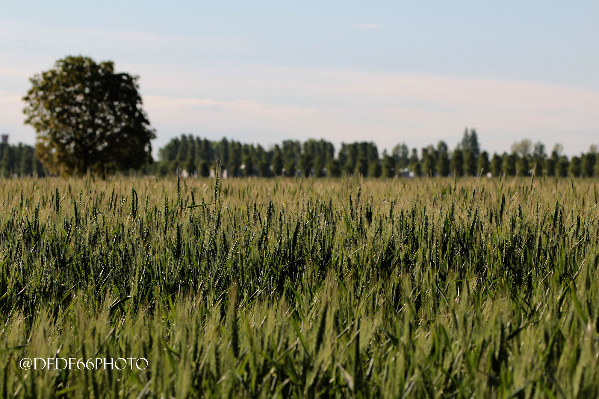 Ca 'Tron Countryside (Roncade, TV)
