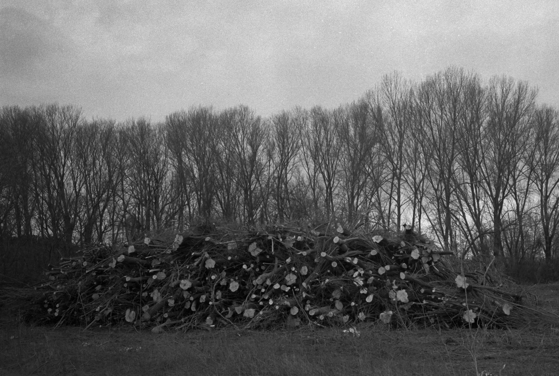 Partecipano al lutto